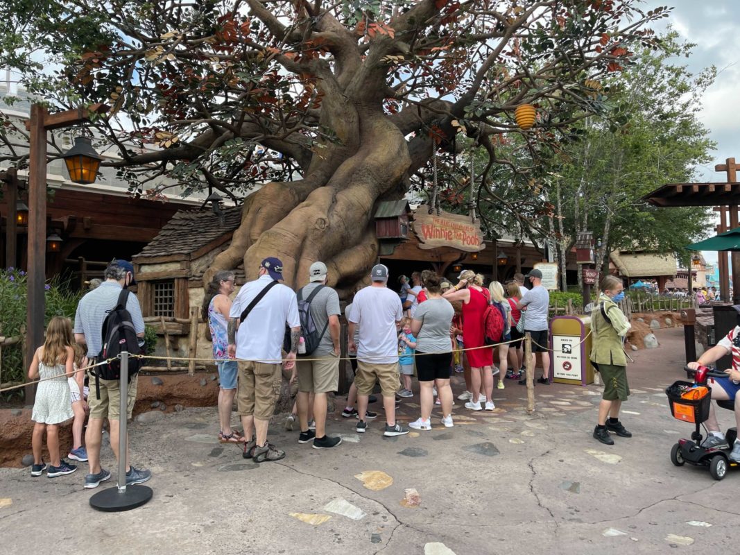 winnie-the-pooh-extended-queue-5