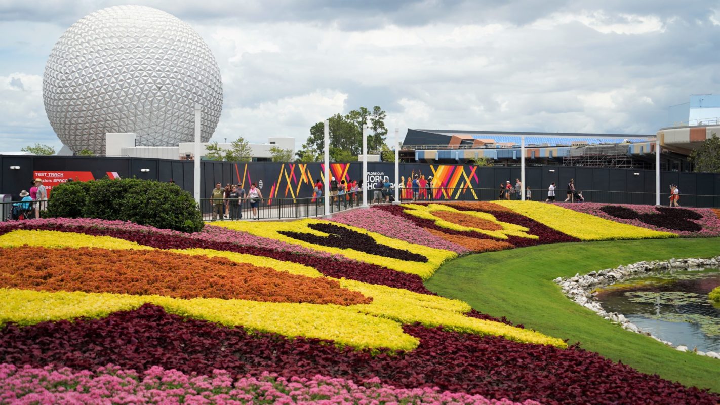 Flower & Garden Summer Display