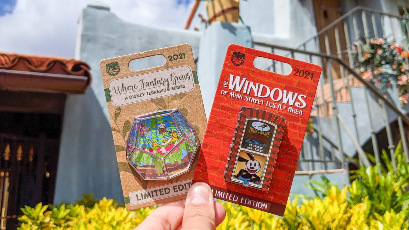 Windows and Terrarium Pins