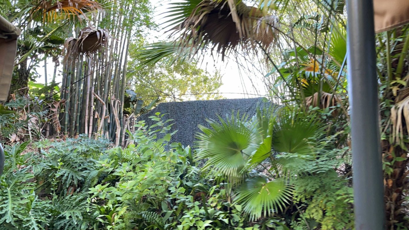 Hut Removed Native Celebration Scene Jungle Cruise Magic Kingdom 6-2-21