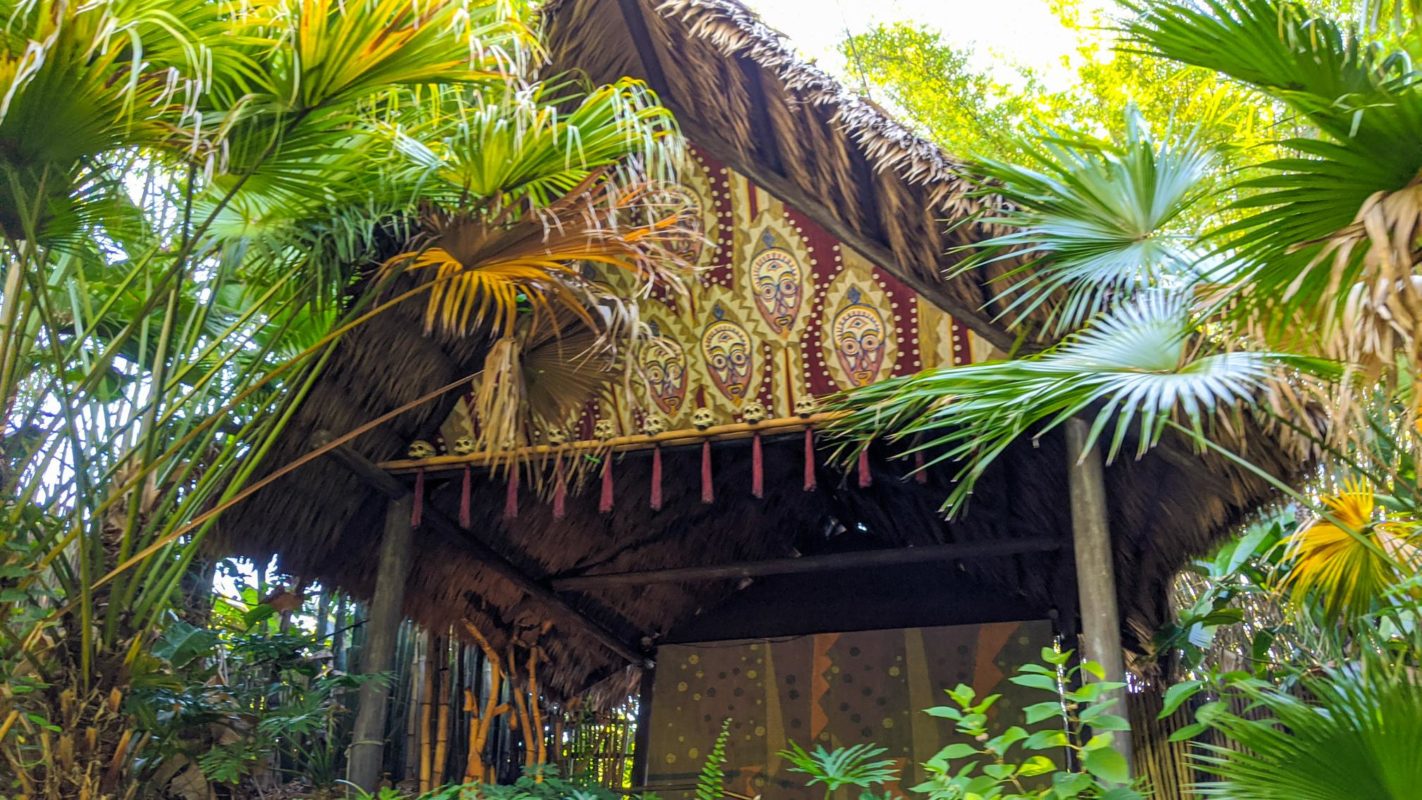 mvimg_20210601_083656-1