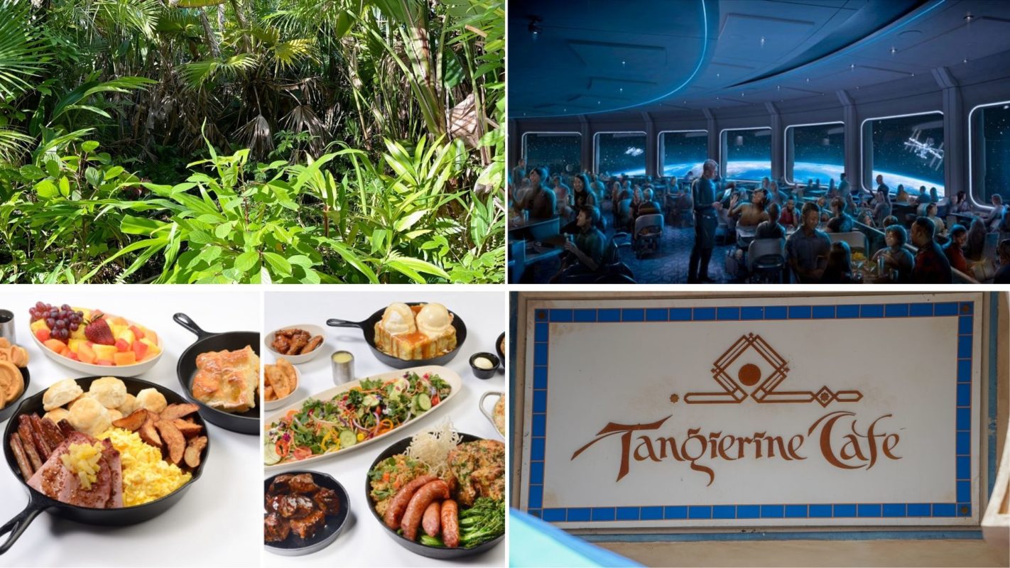 wdwnt-daily-recap-6-9-21