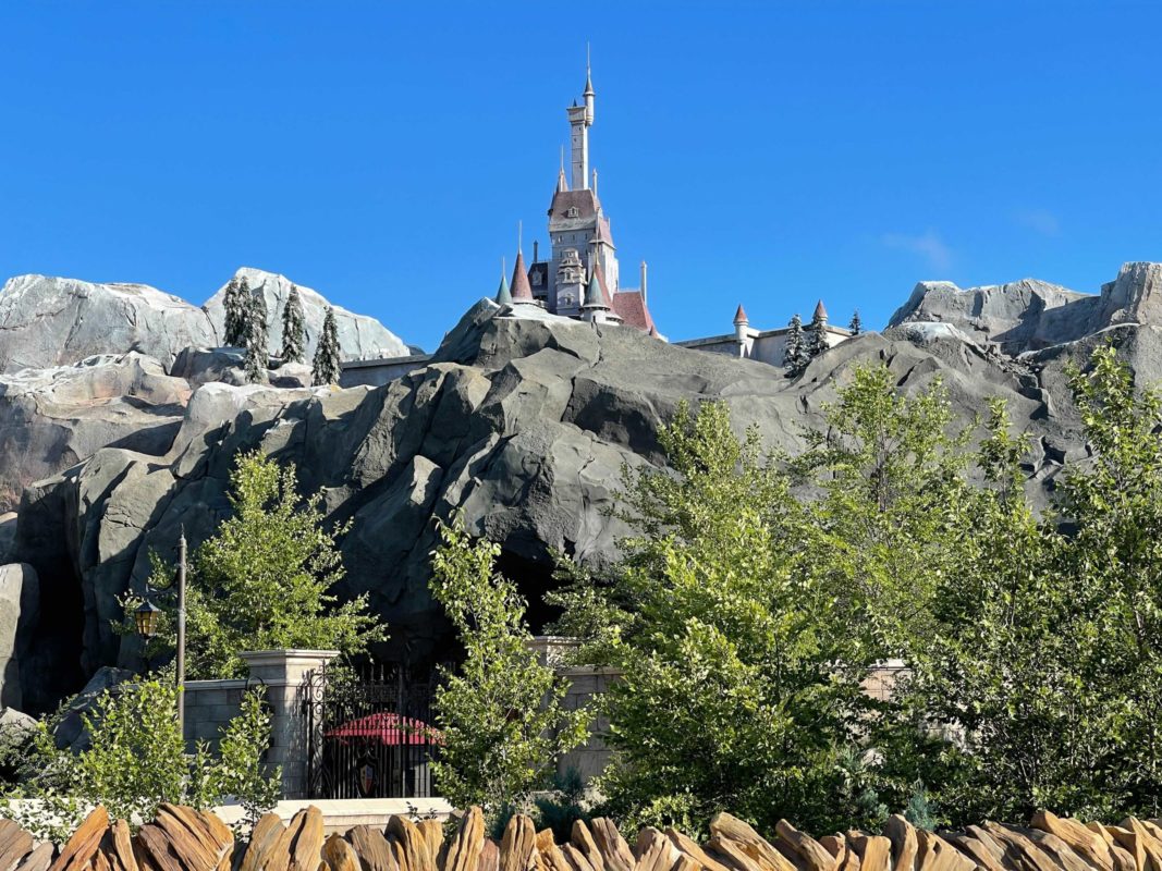 be-our-guest-rock-painting-3