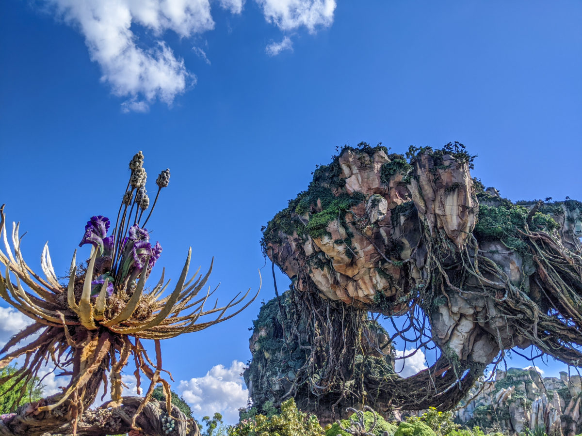 pandora-06-09-21-9715515