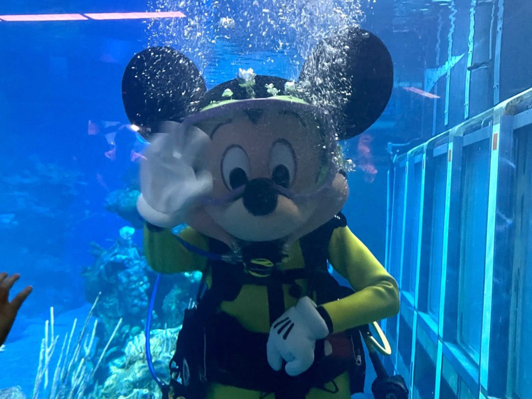 scuba-mickey-mouse-2