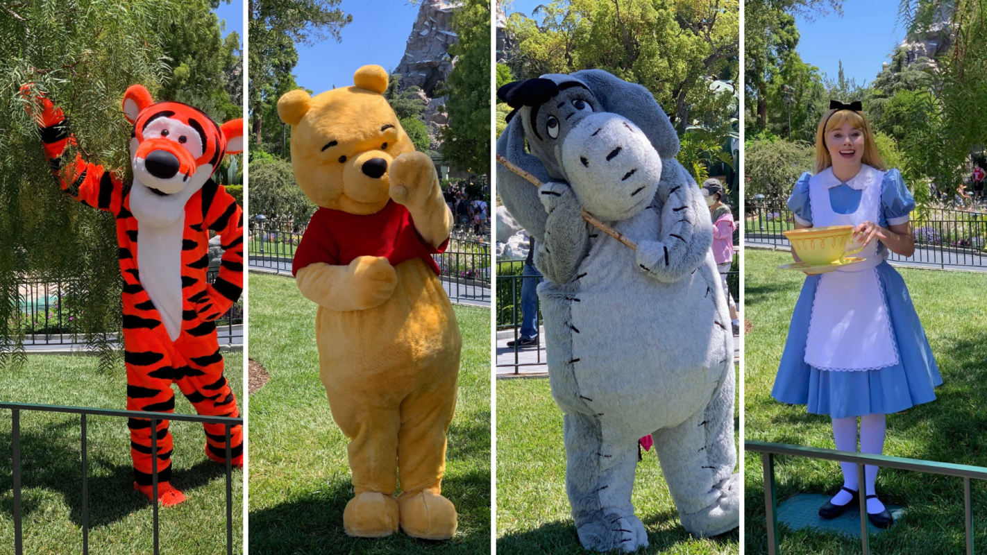 tigger-pooh-eeyore-alice-disneyland-hub-location-collage
