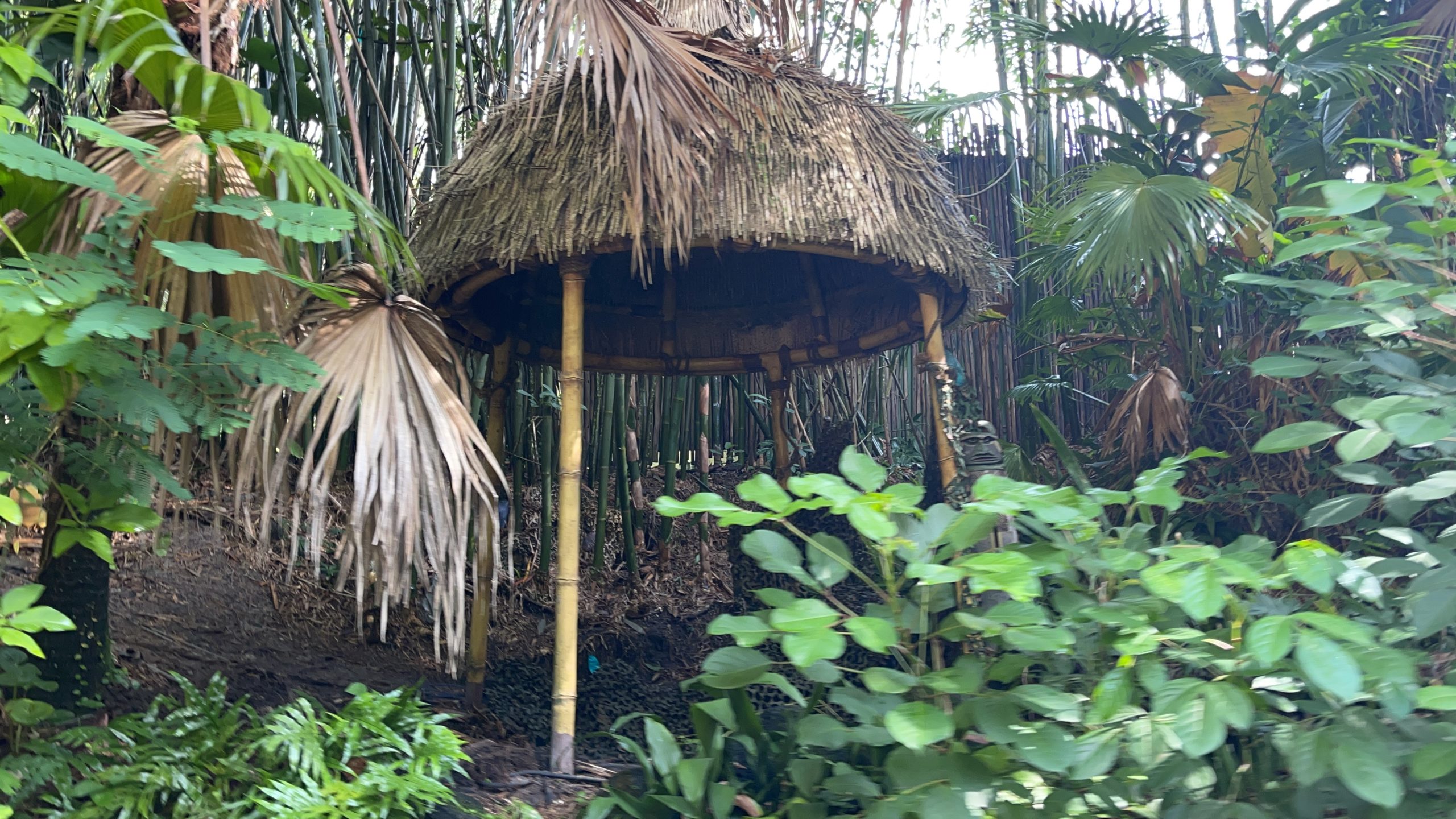 drumming-natives-removed-jungle-cruise-magic-kingdom-07282021