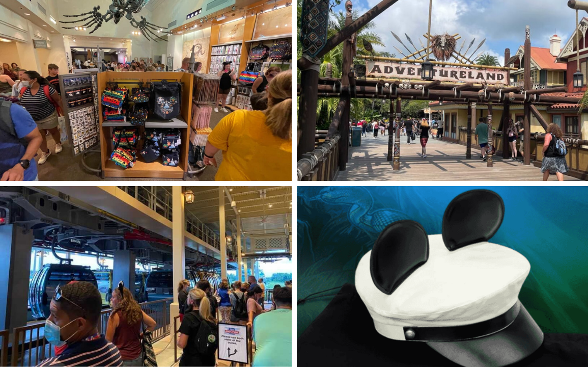 untitled-design-5-12