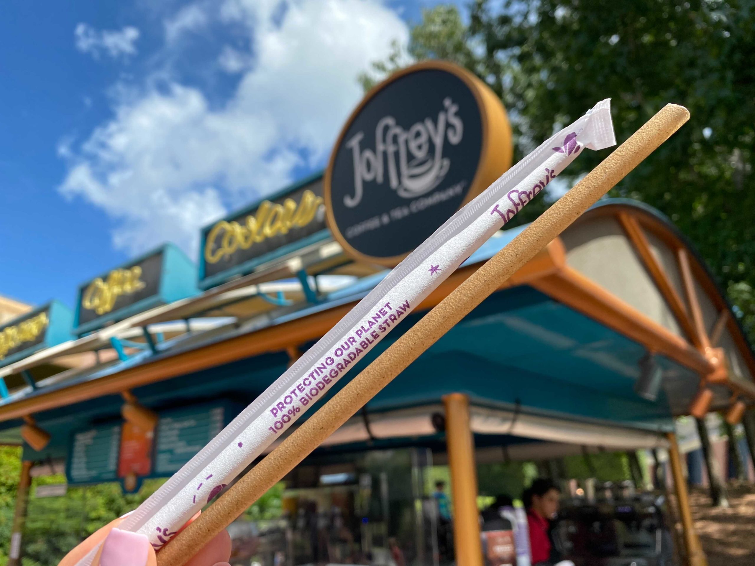 walt-disney-world-joffreys-sugar-straw-1105512