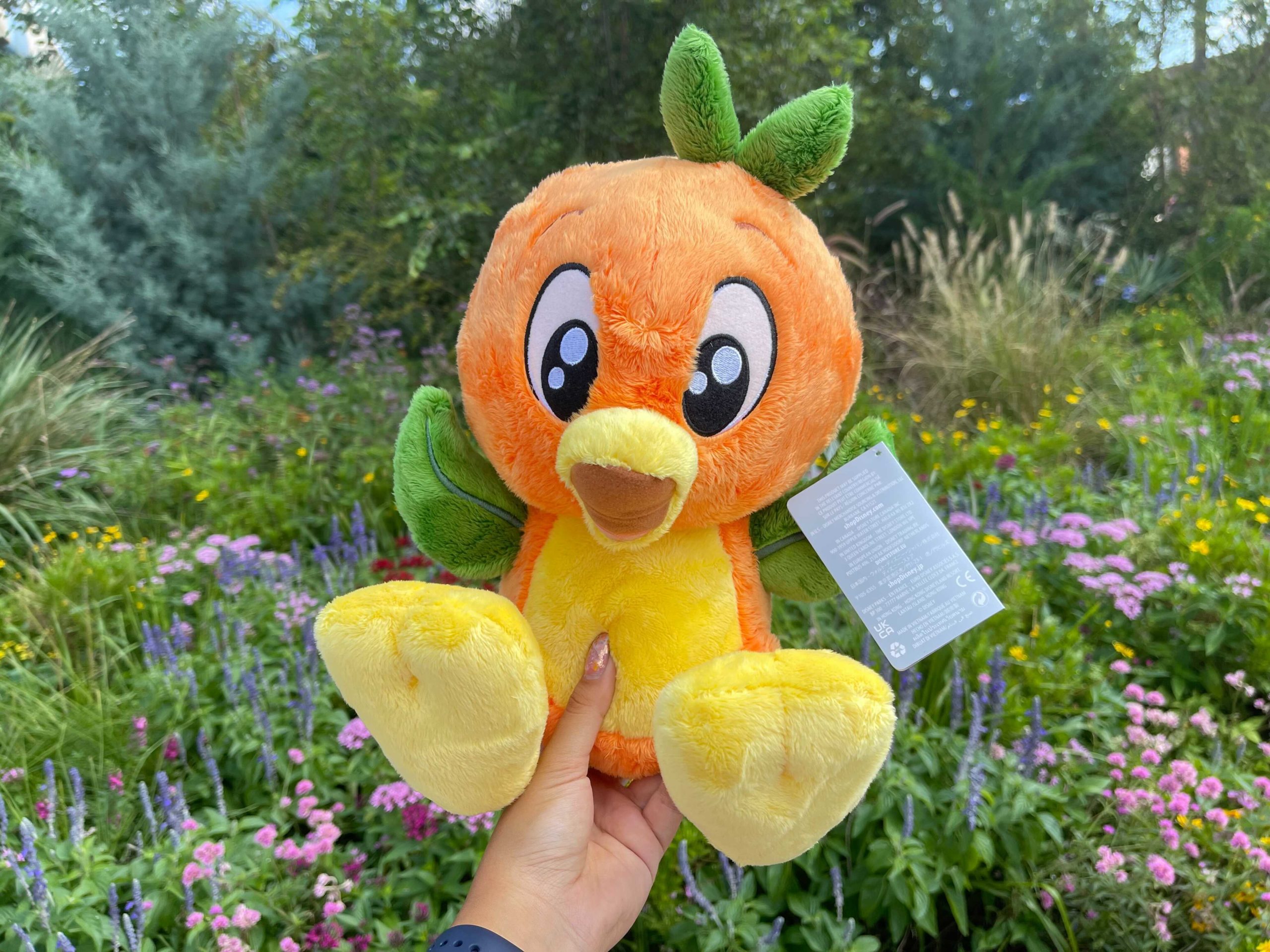 big-feet-orange-bird-5