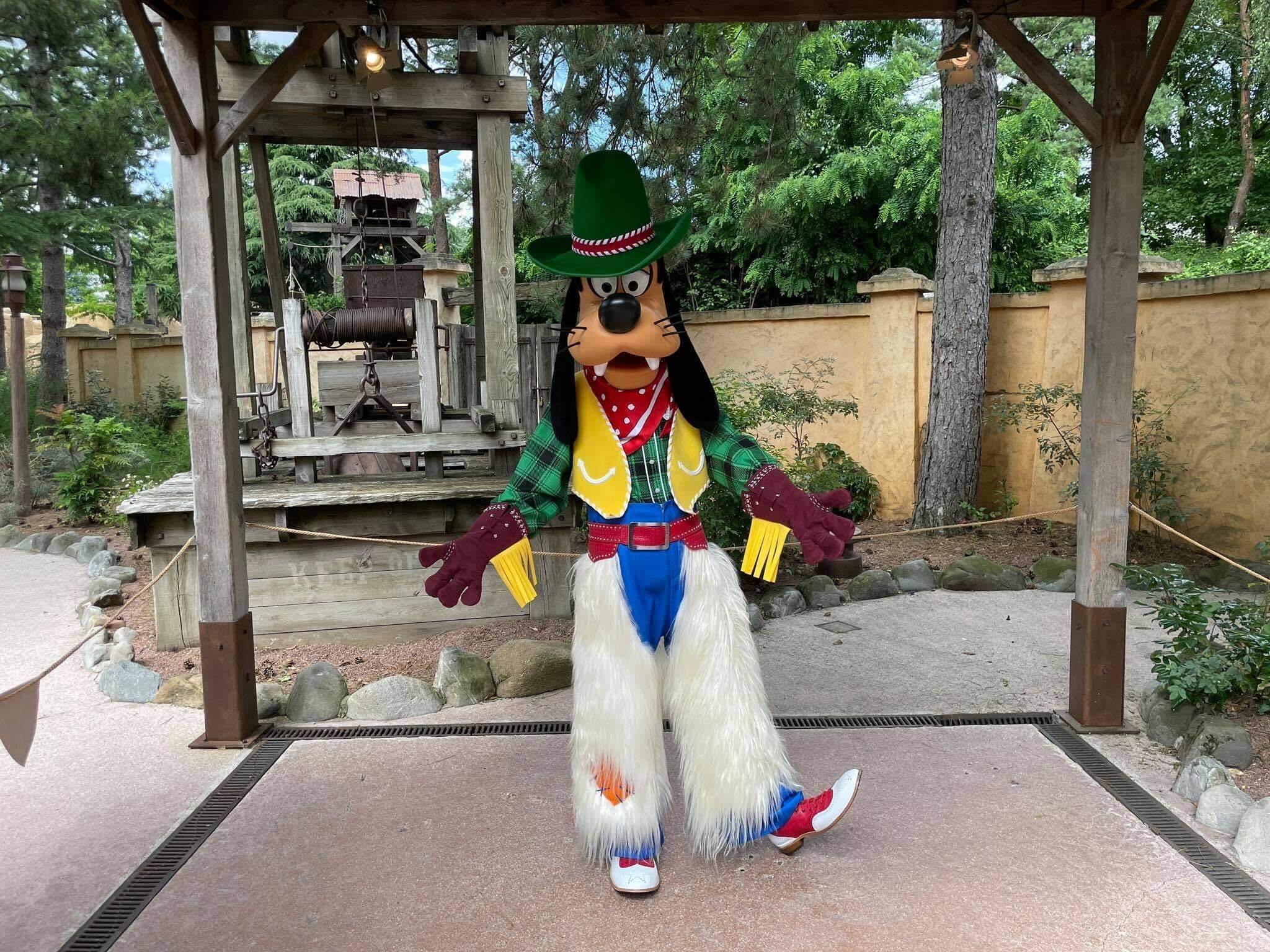 cowboy-goofy3-2533161
