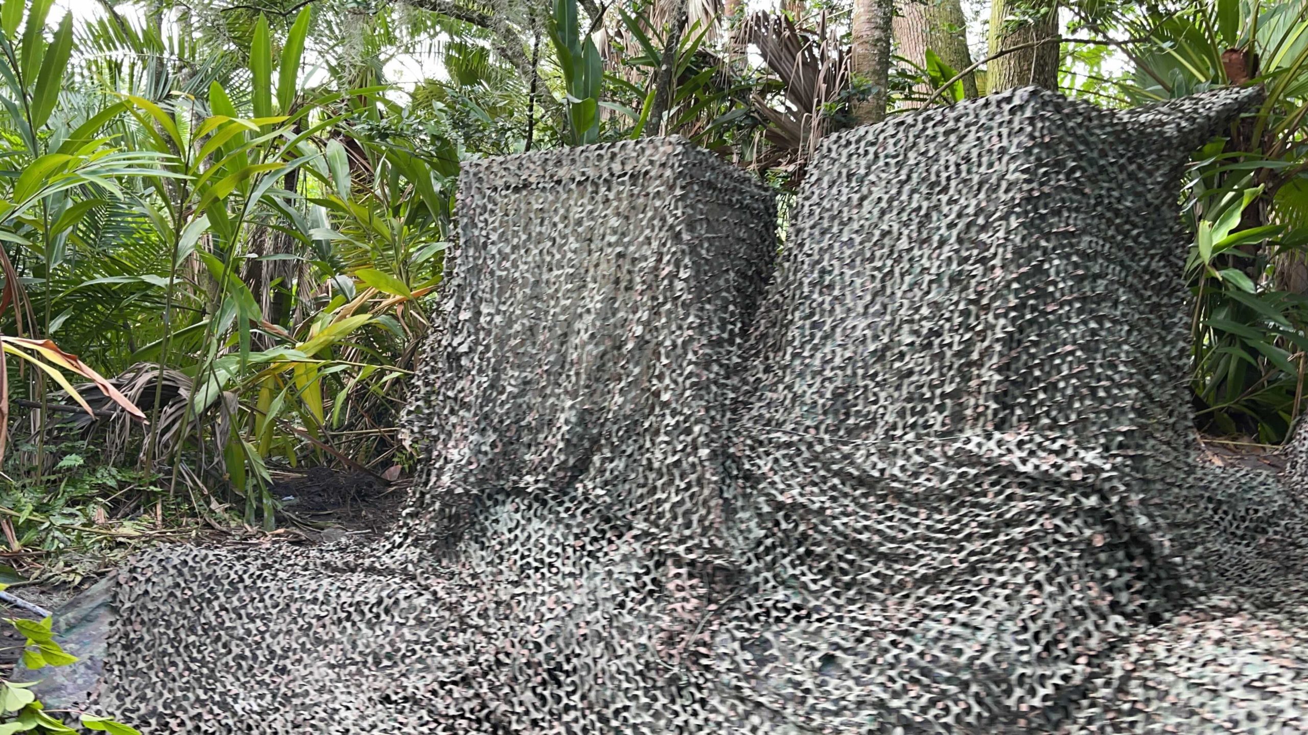 jungle-cruise-box2-1684926