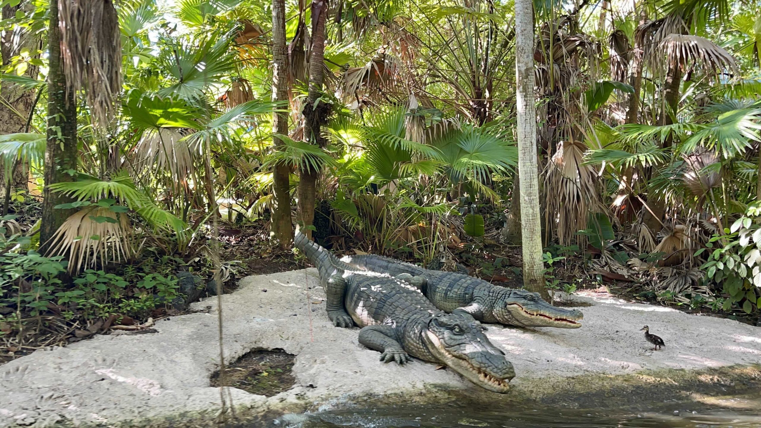 jungle-cruise-gators-2