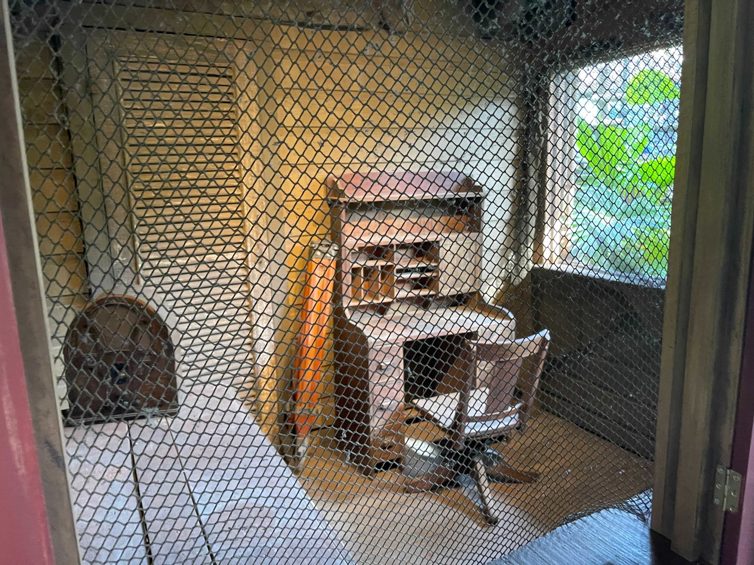 jungle-cruise-queue-office-3