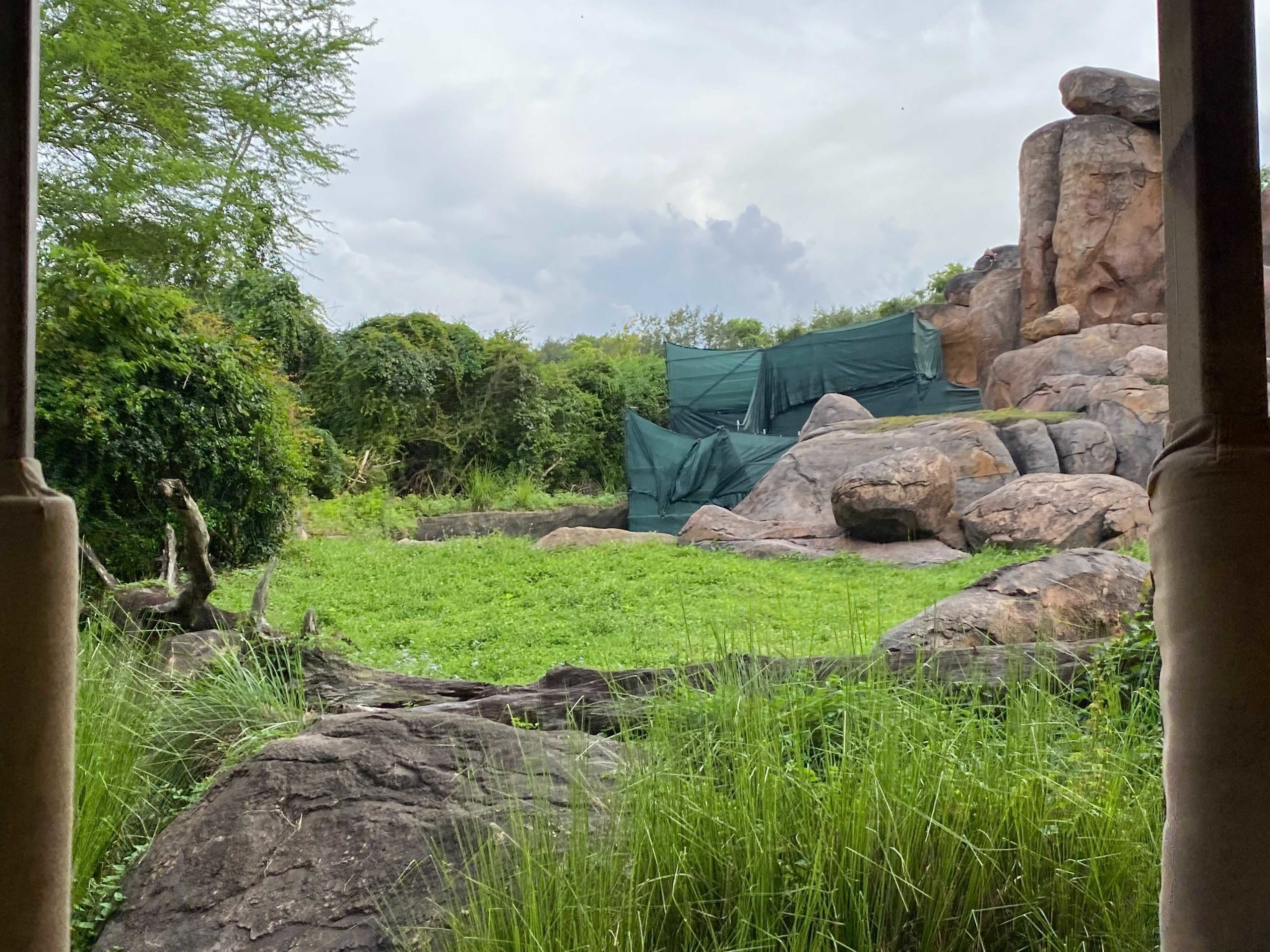 kilimanjaro-lion-refurb-2599842