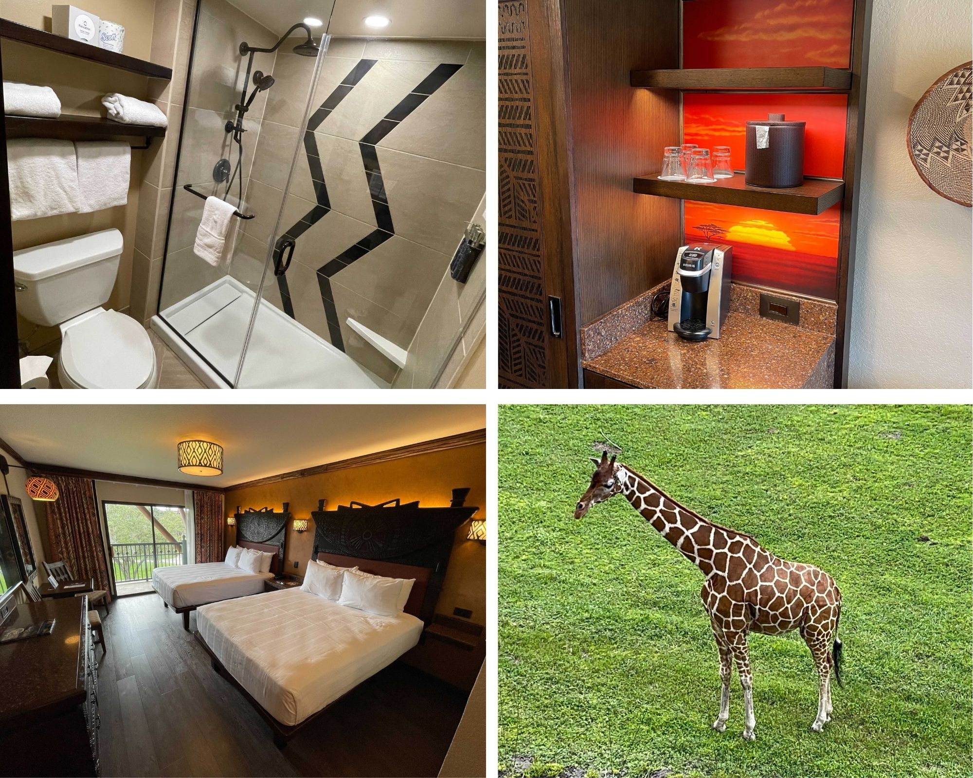 animal-kingdom-lodge-room-tour
