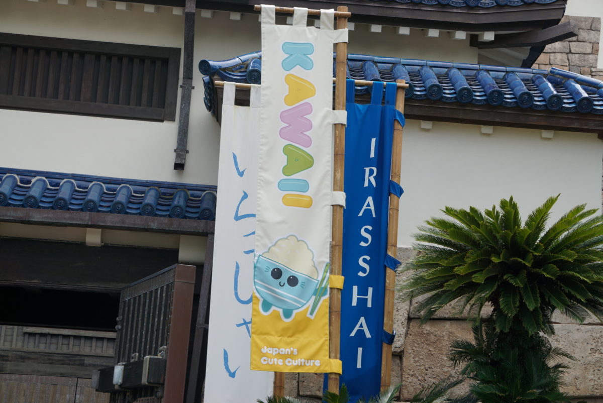 dsc05139-8098048