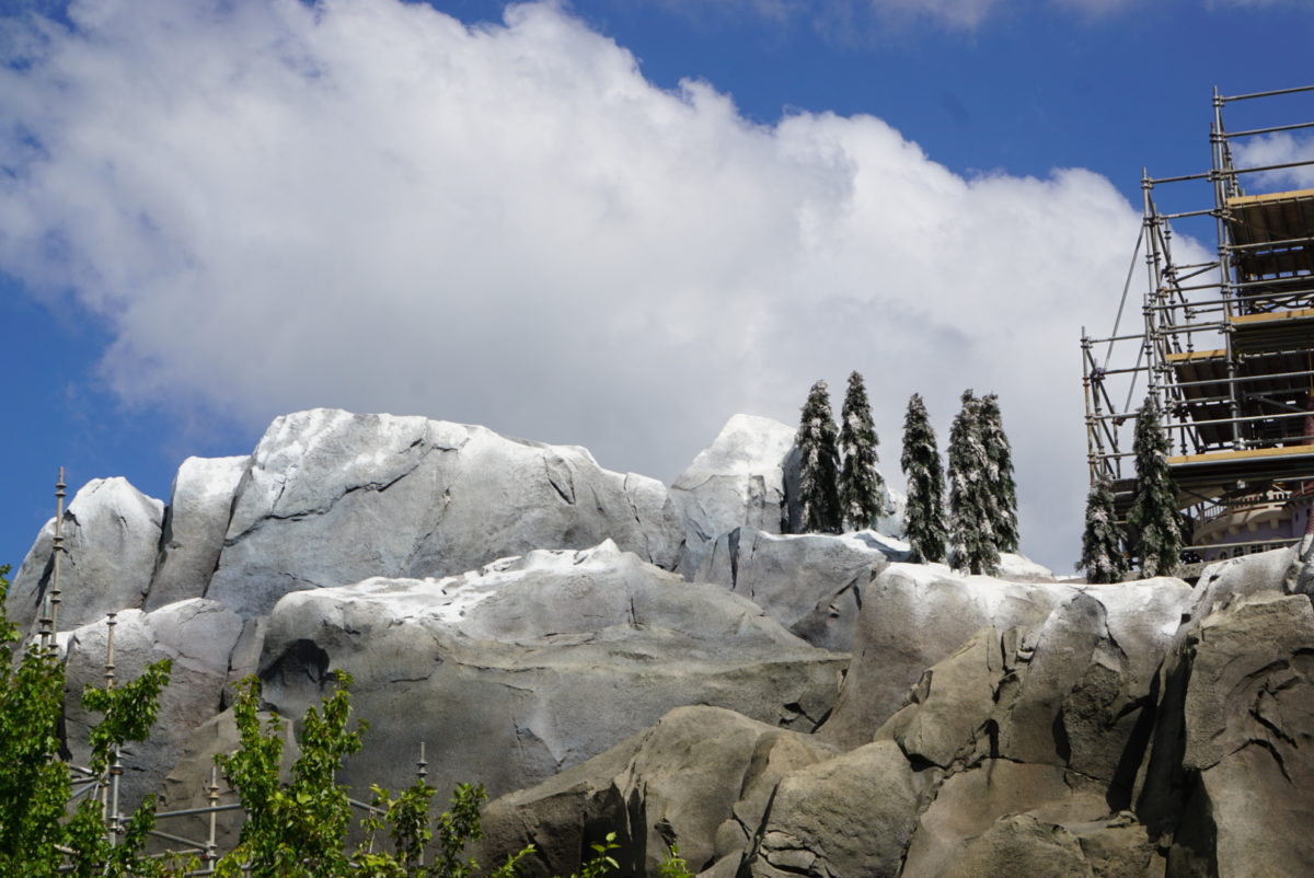 dsc05843-3835343