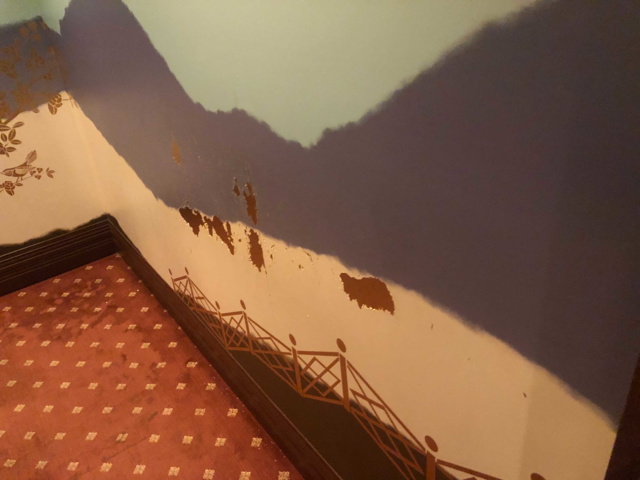 disneys-hollywood-studios-mickey-minnies-runaway-railway-queue-damage-1-9694049