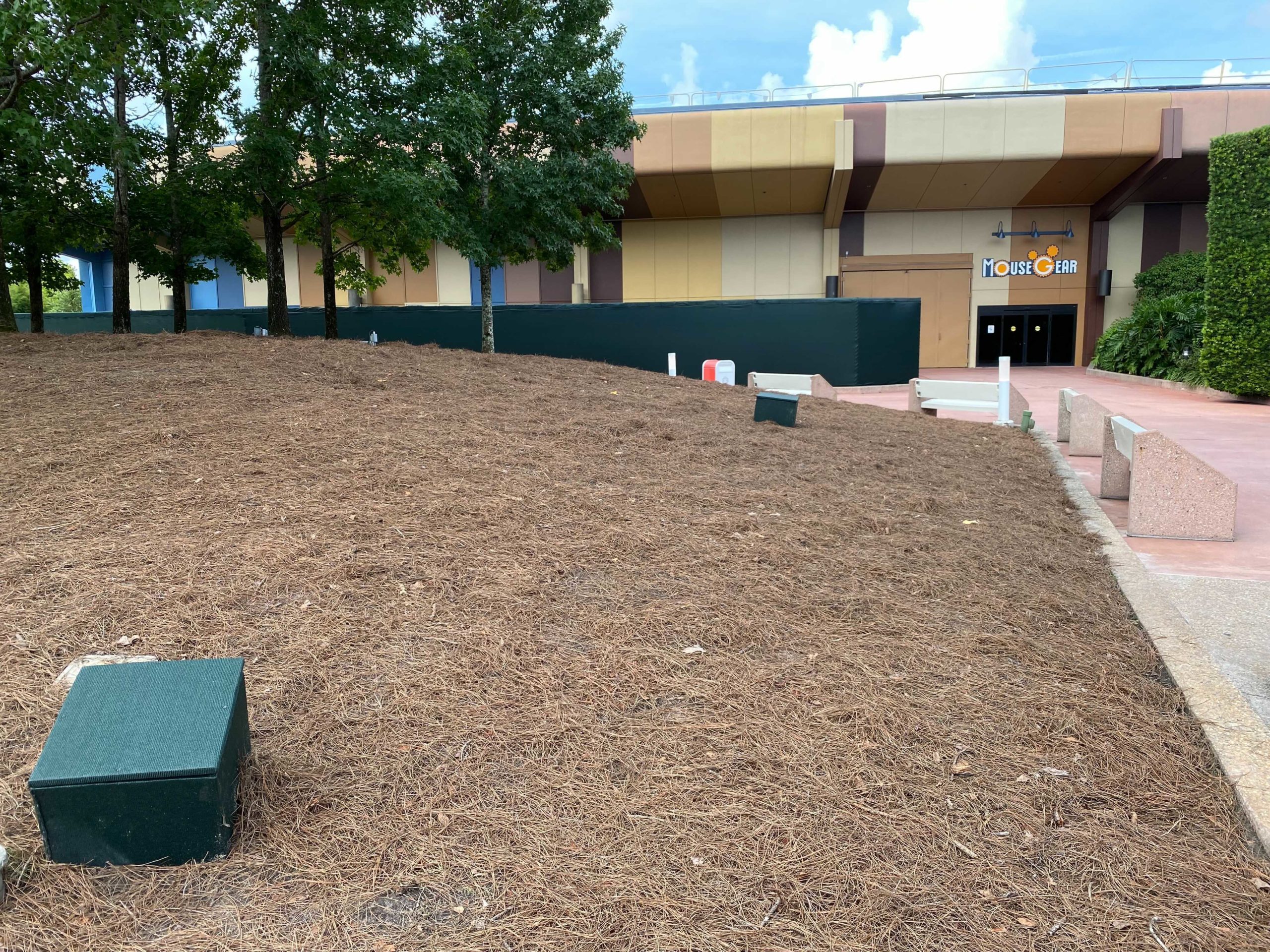 epcot-mouse-gear-landscaping-cleared-5-2478704