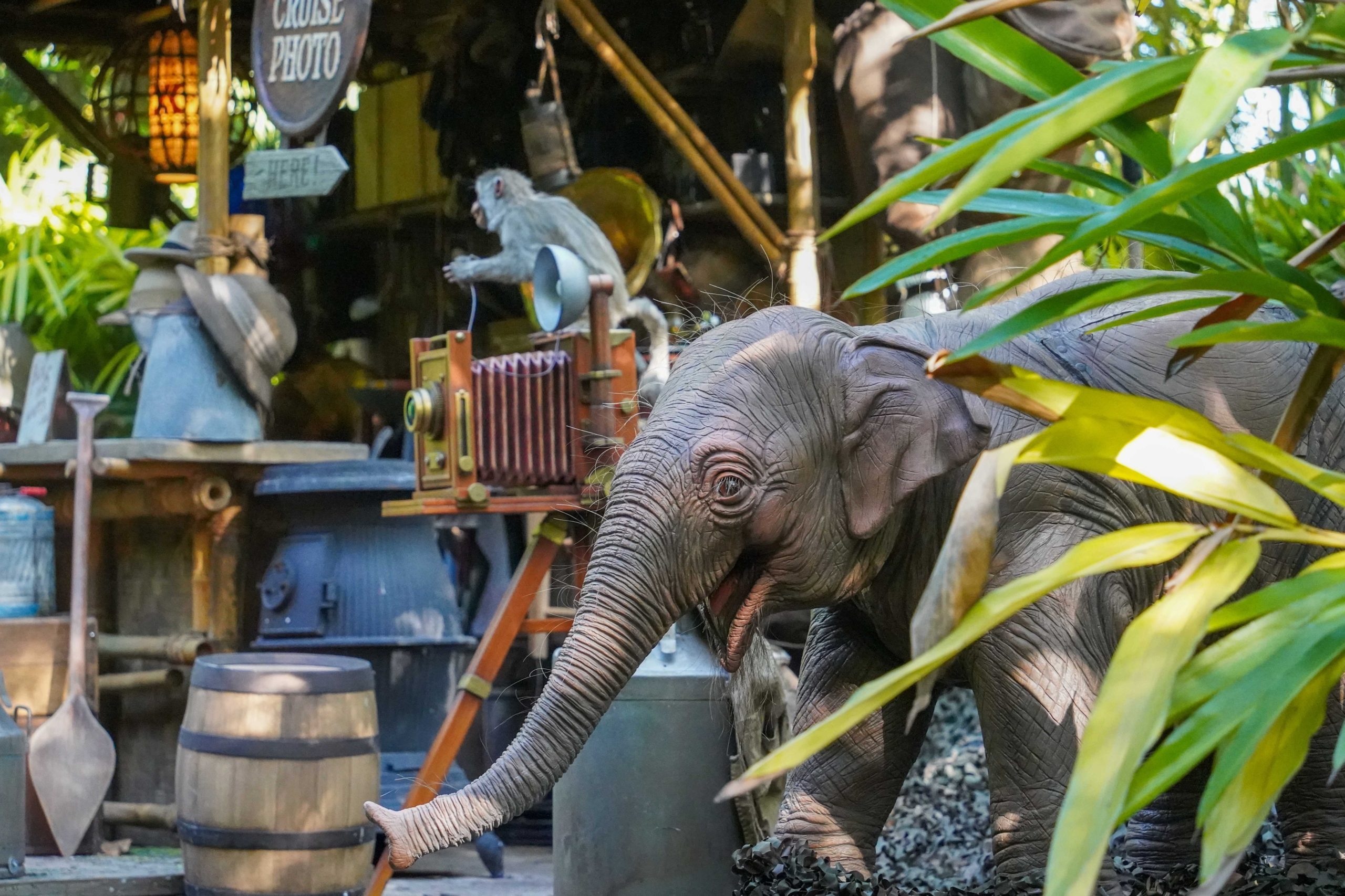 jungle-cruise-props-8-10-21-4