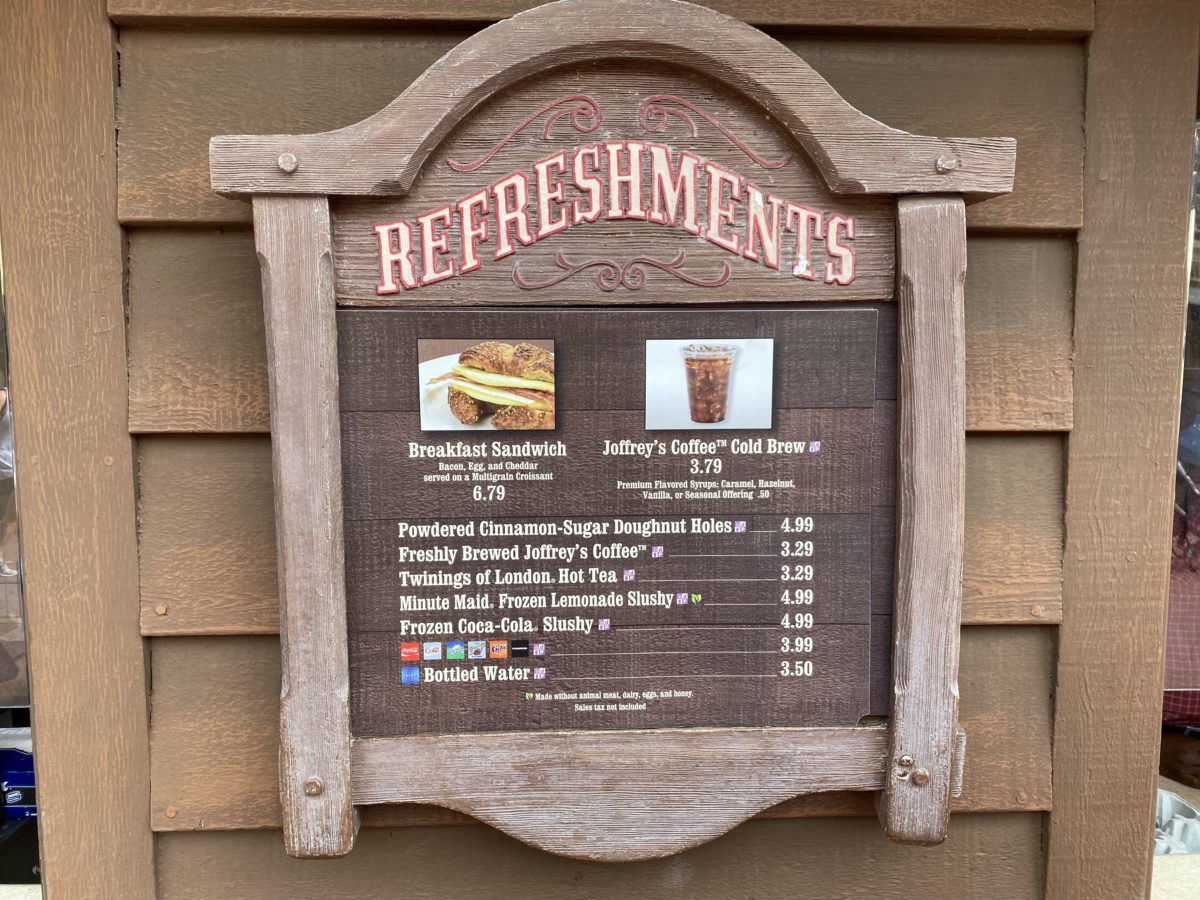 magic-kingdom-photo-report-8-4-21-29