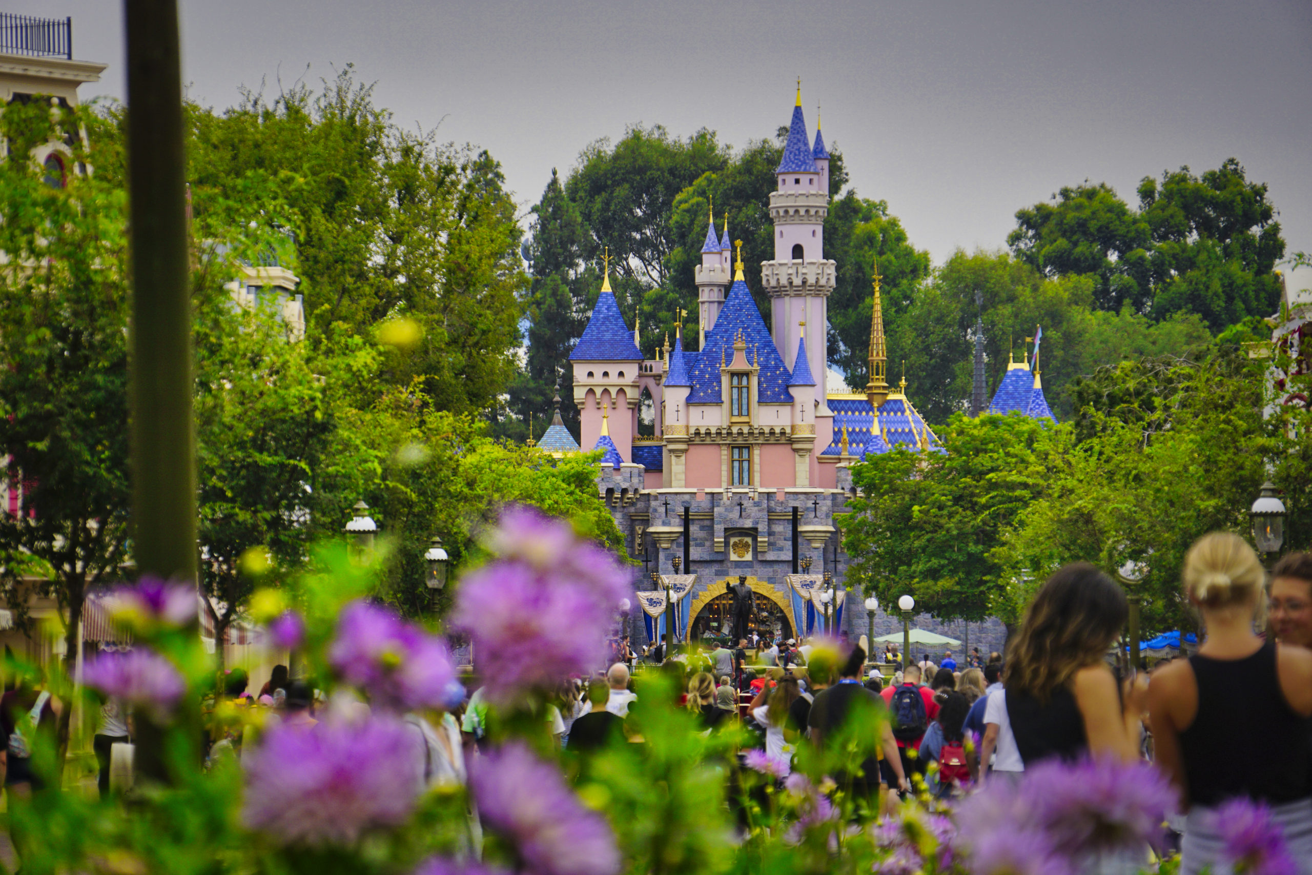 sleeping-beauty-castle-with-flowers-disneyland