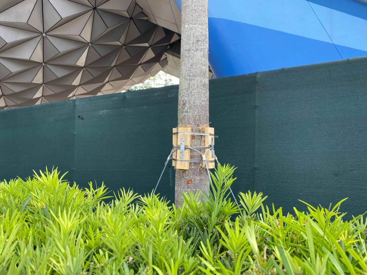 spaceship-earth-trees-3