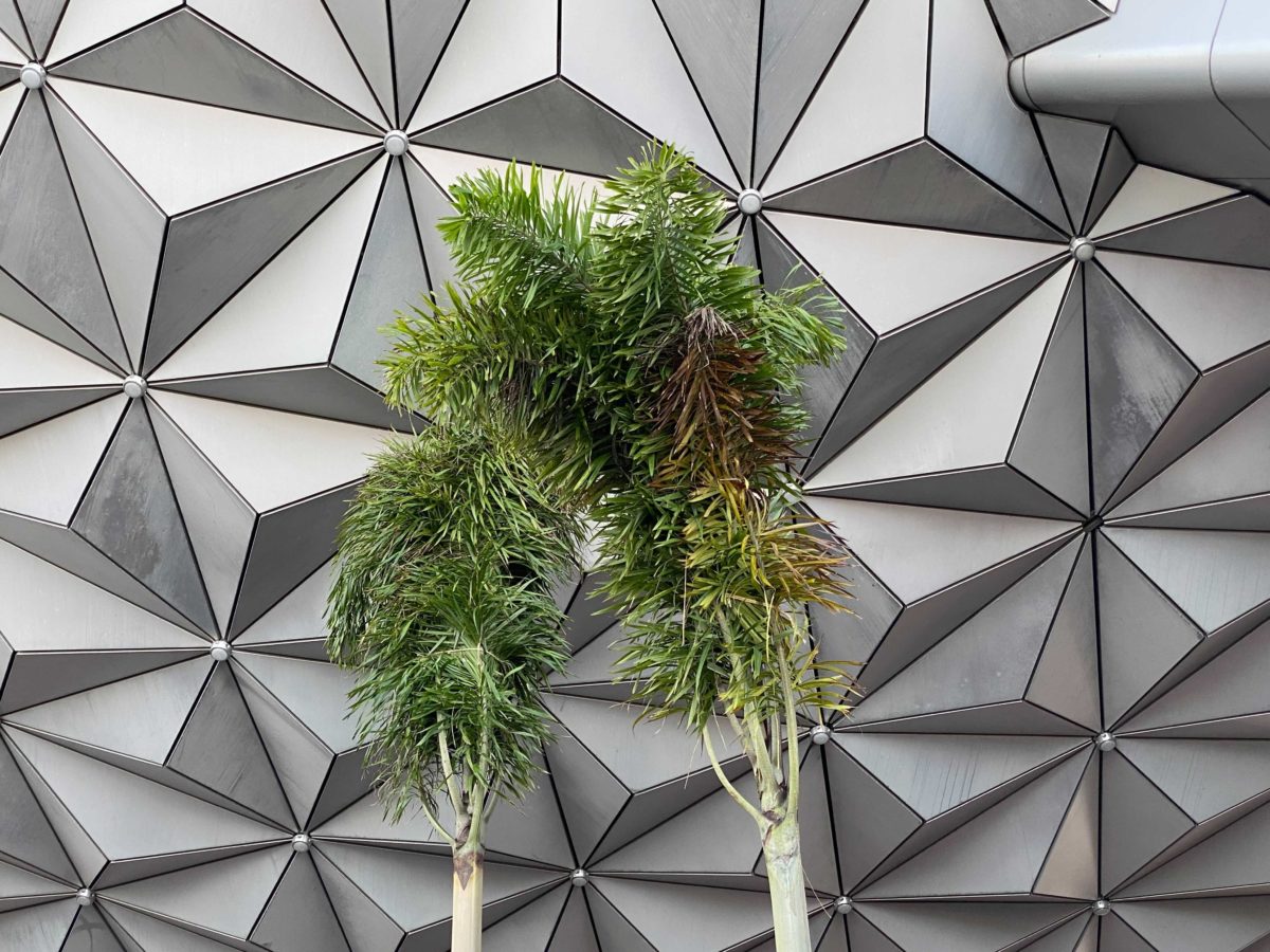 spaceship-earth-trees-4
