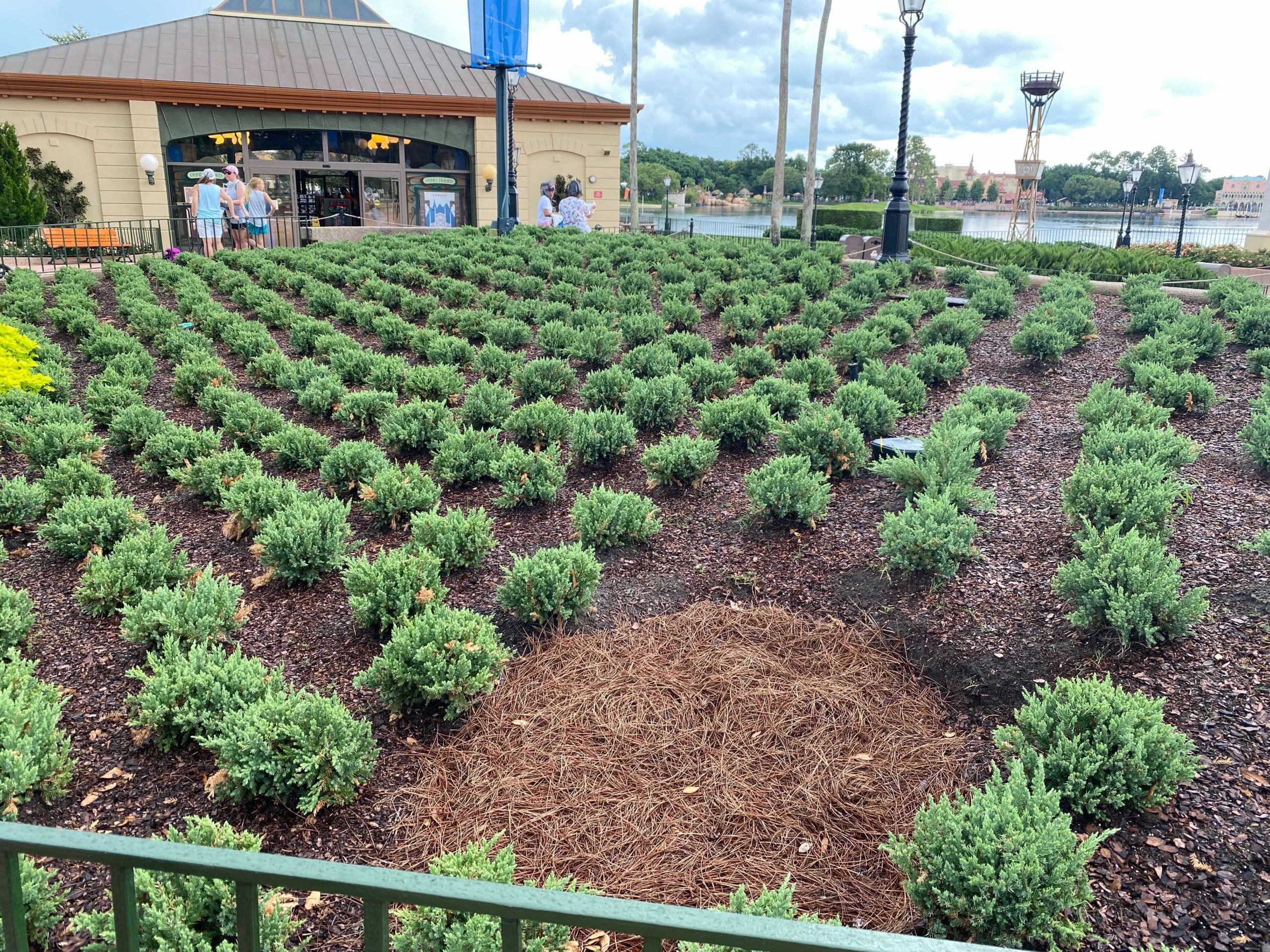 epcot-fab-50-prep-work-6