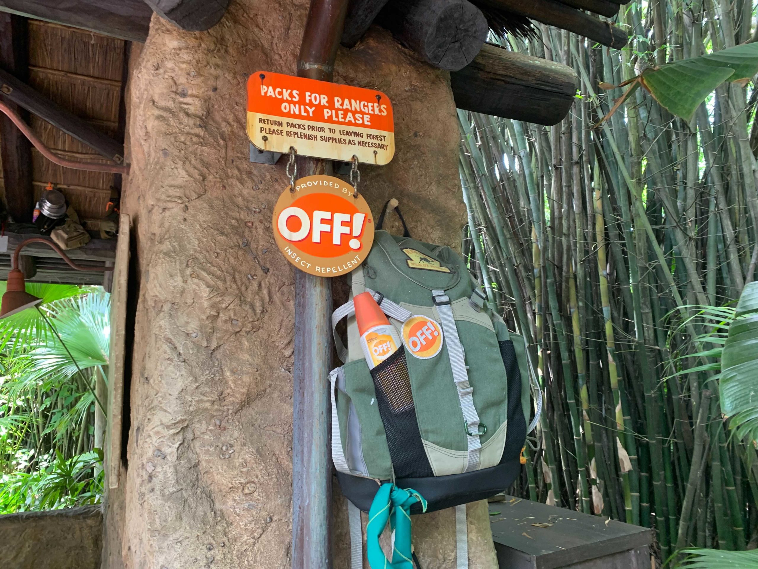 gorilla-falls-exploration-trail-presented-by-off-7-5656868