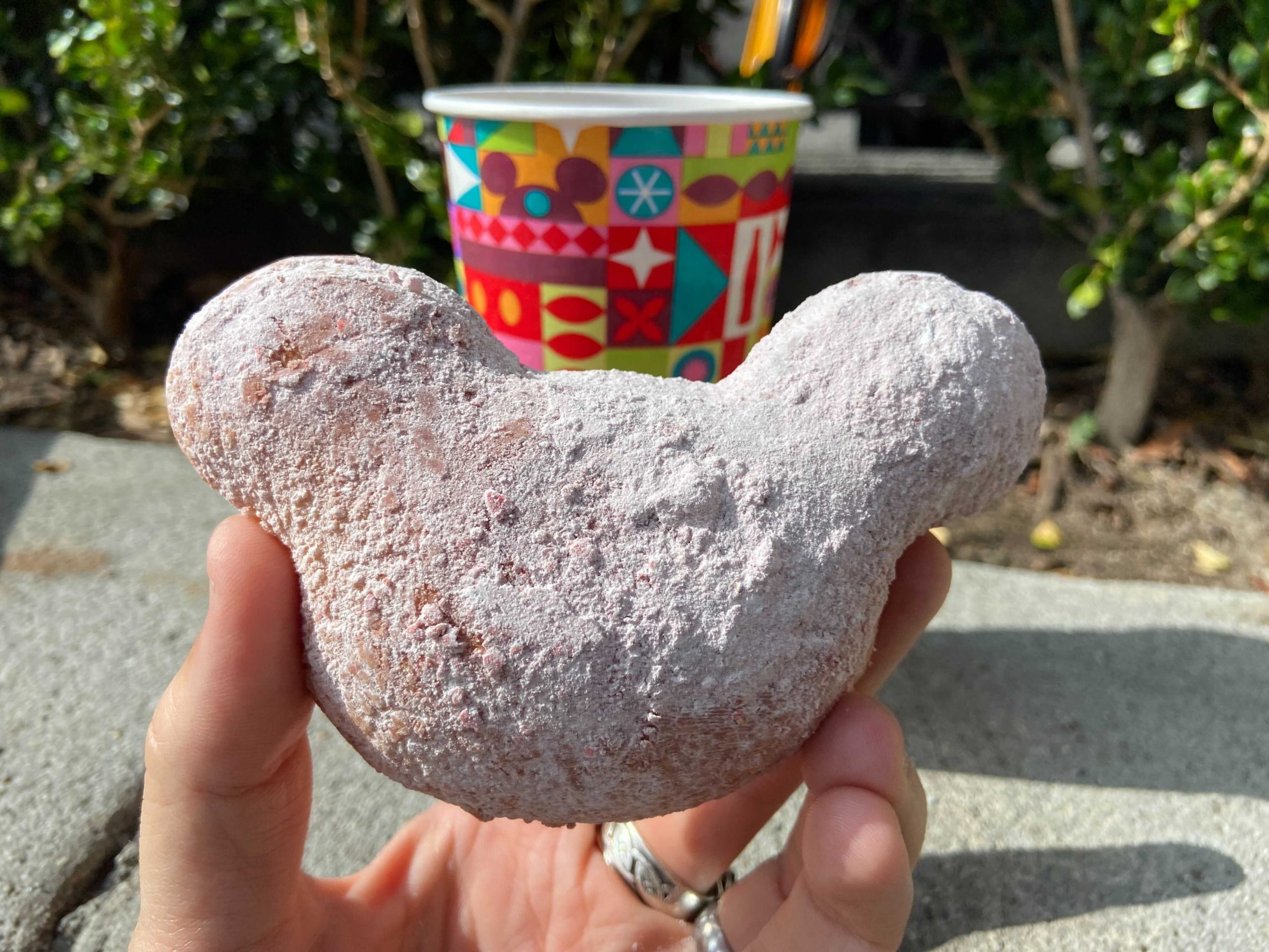 chocloate-strawberry-beignets-disneyland-9-3-21-10