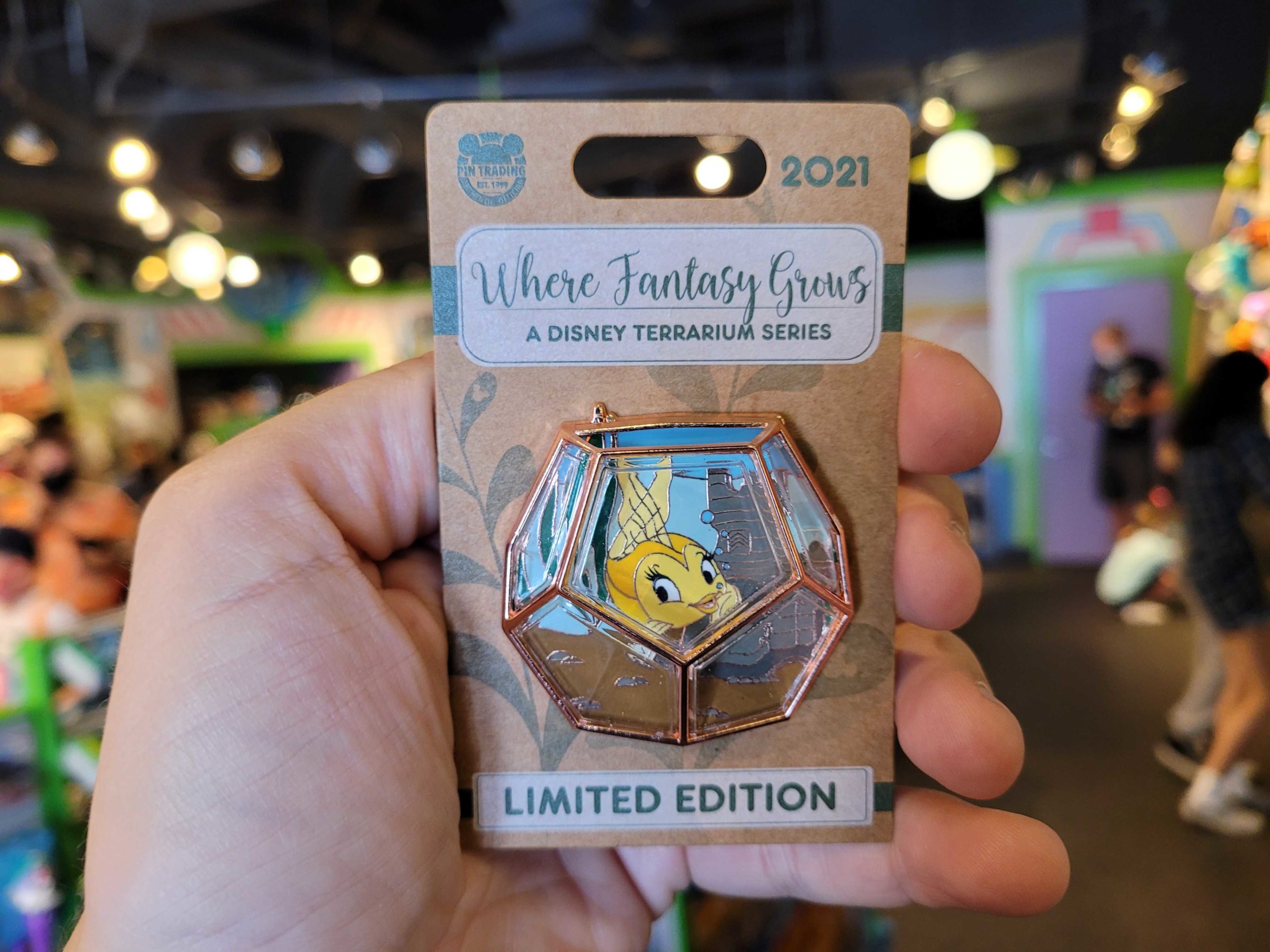 dl-where-fantasy-grows-pinocchio-1-9162507