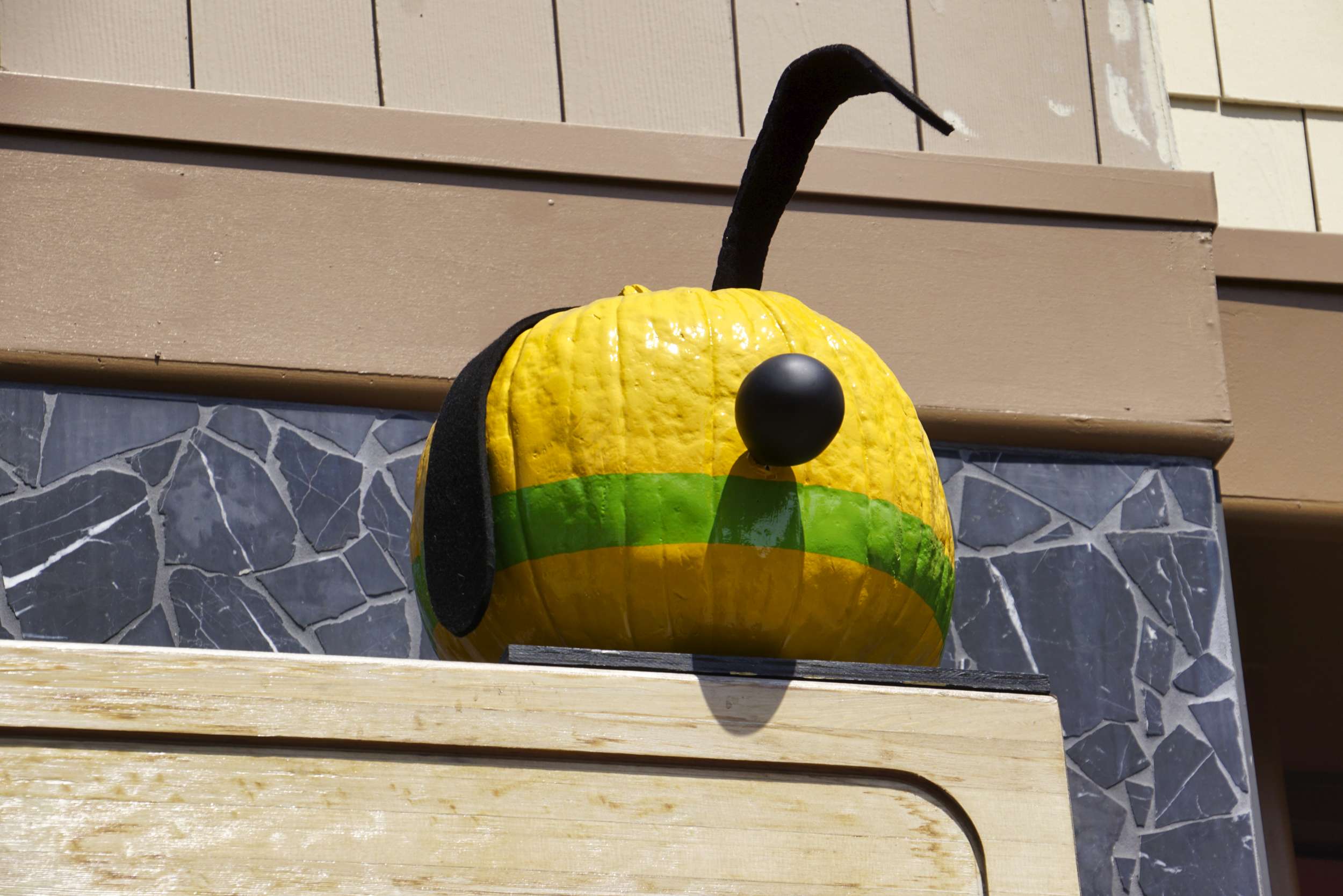 downtown-disney-plutos-pumpkin-pursuit-pluto