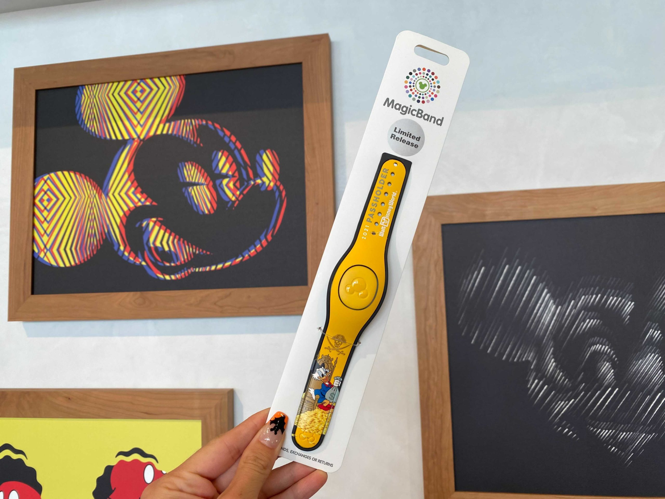 passholder-magicband-6-6451717
