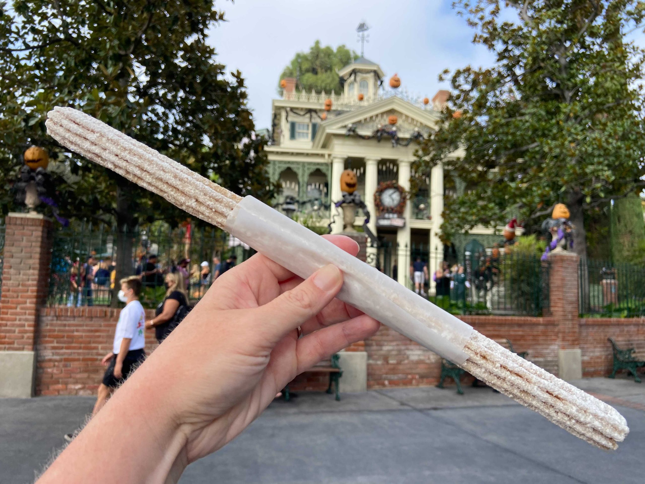 white-chocolate-churro-disneyland-9-3-21-1