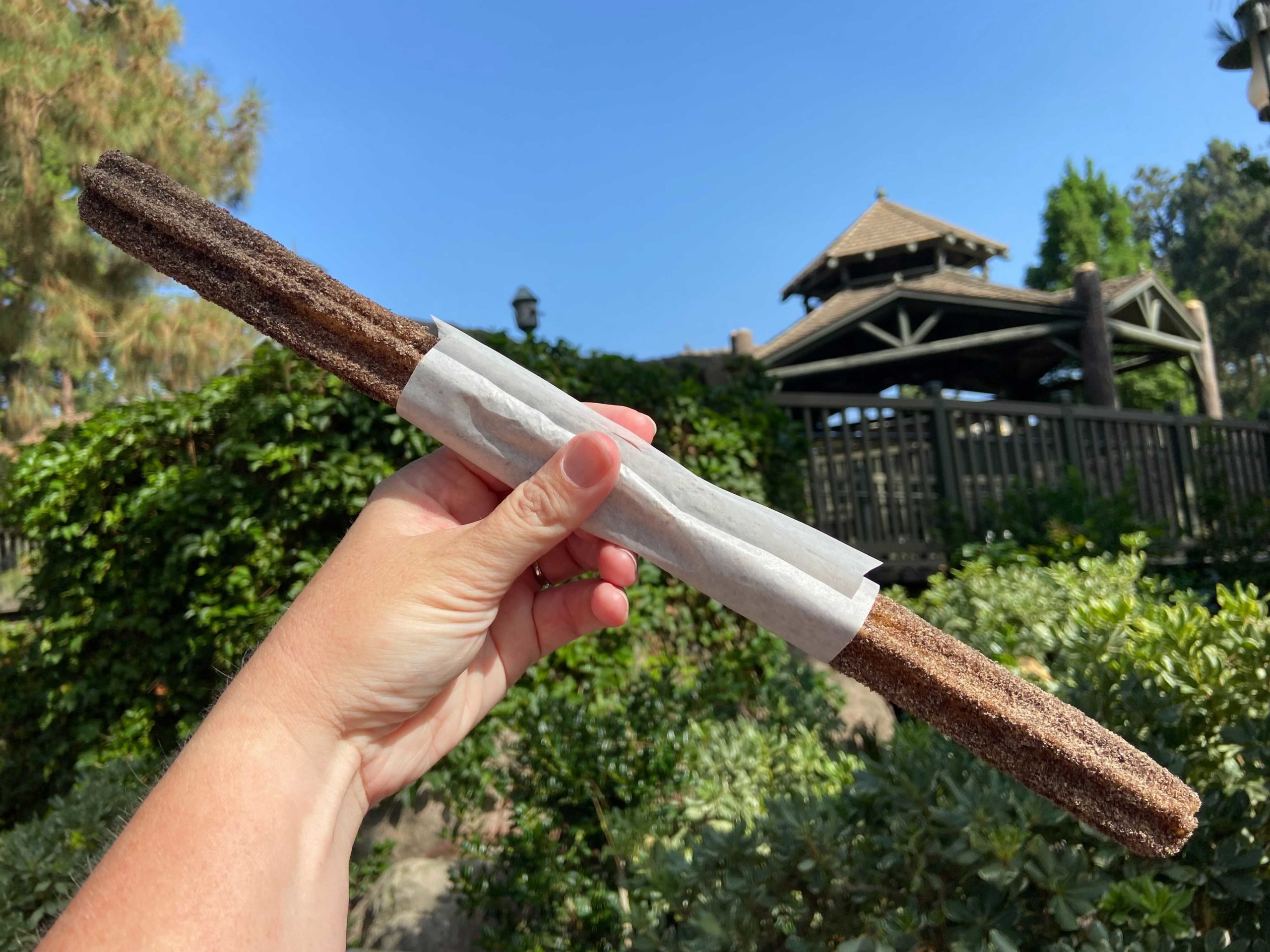 chocolate-dusted-churro-1-4664717