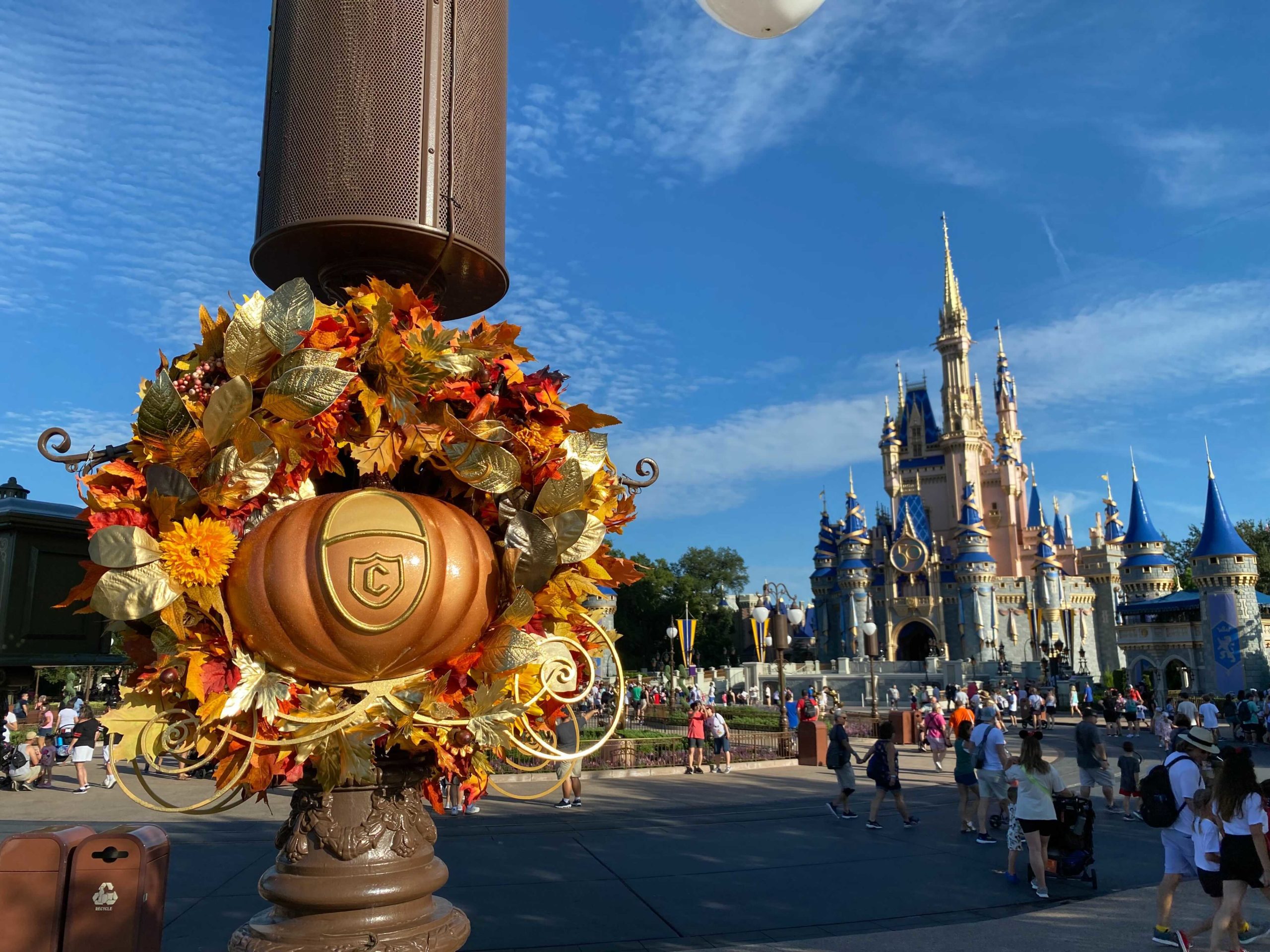 cinderella-pumpkin-decor