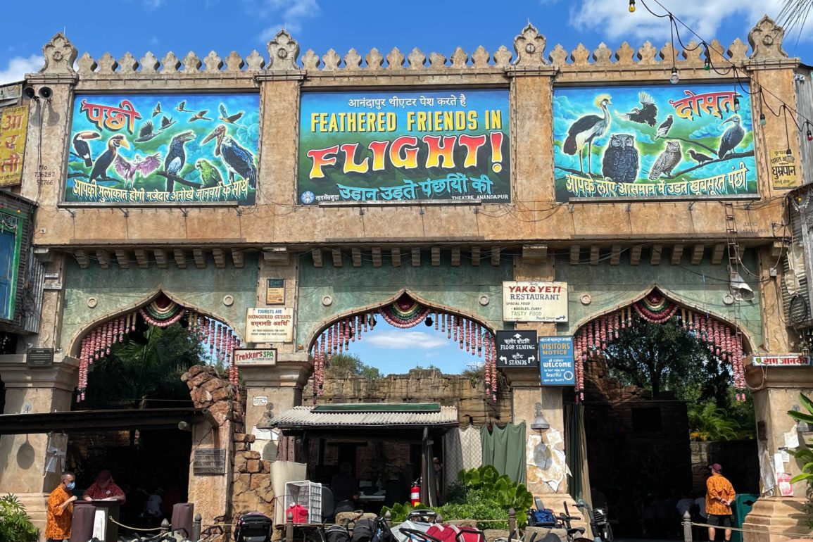 feathered-friends-in-flight-signage-0