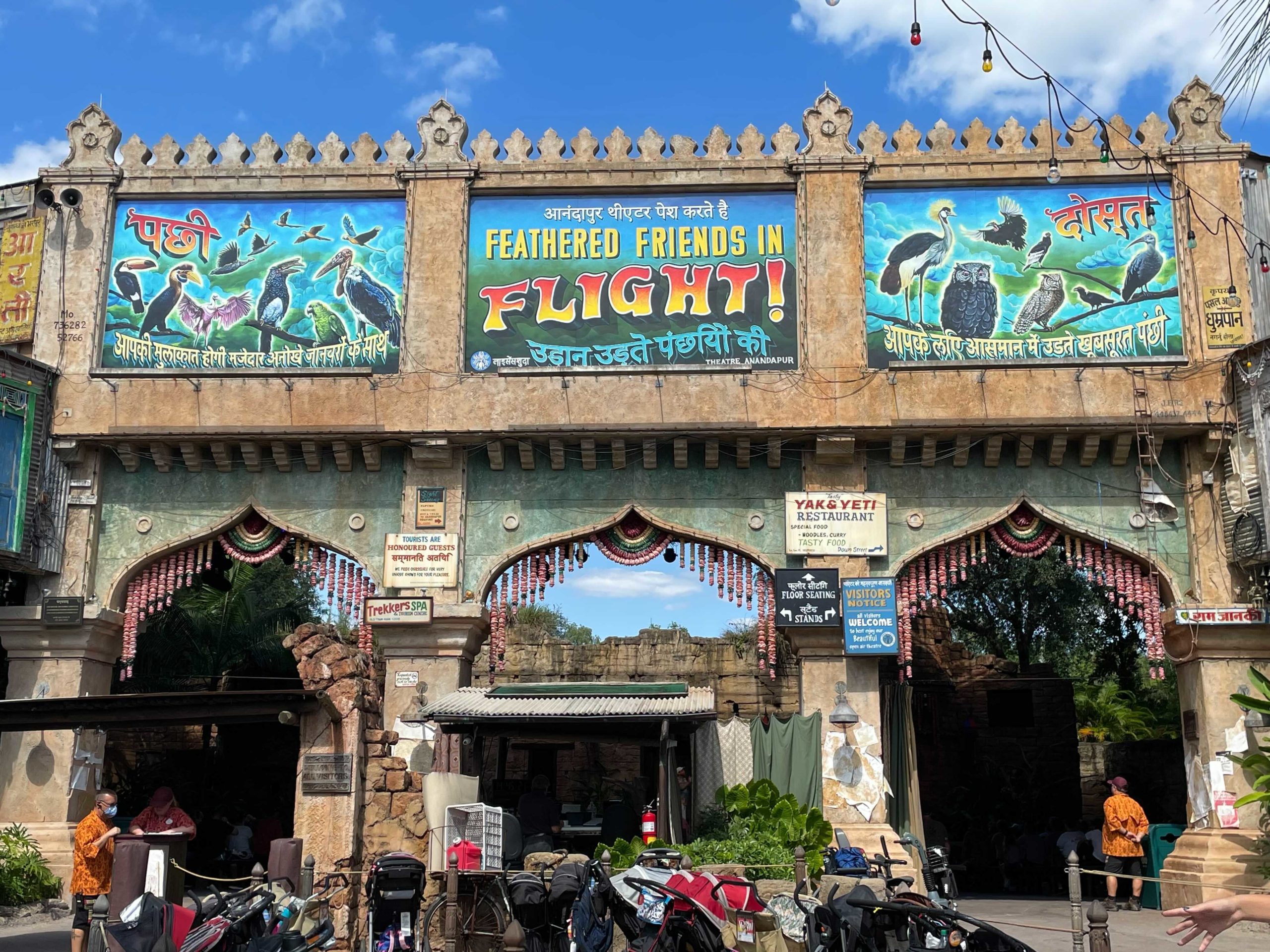 feathered-friends-in-flight-signage-0