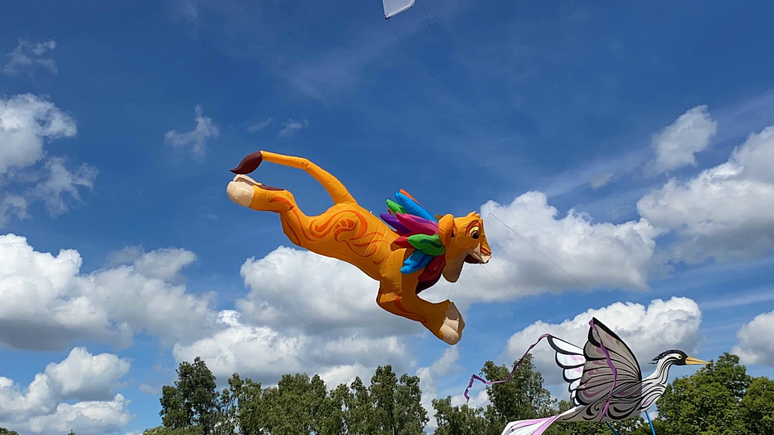 kitetails-the-lion-king-7