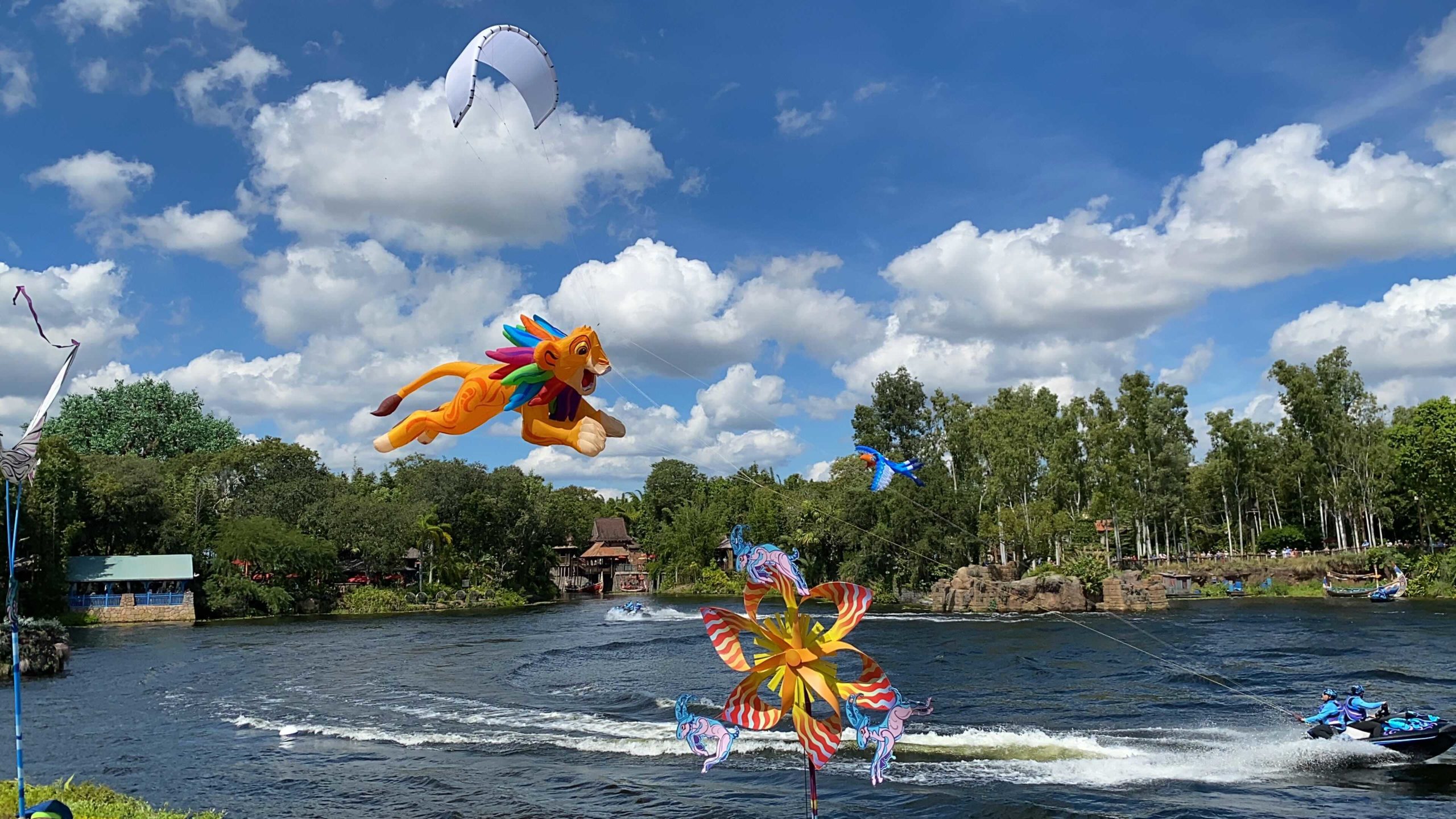 kitetails-the-lion-king-8