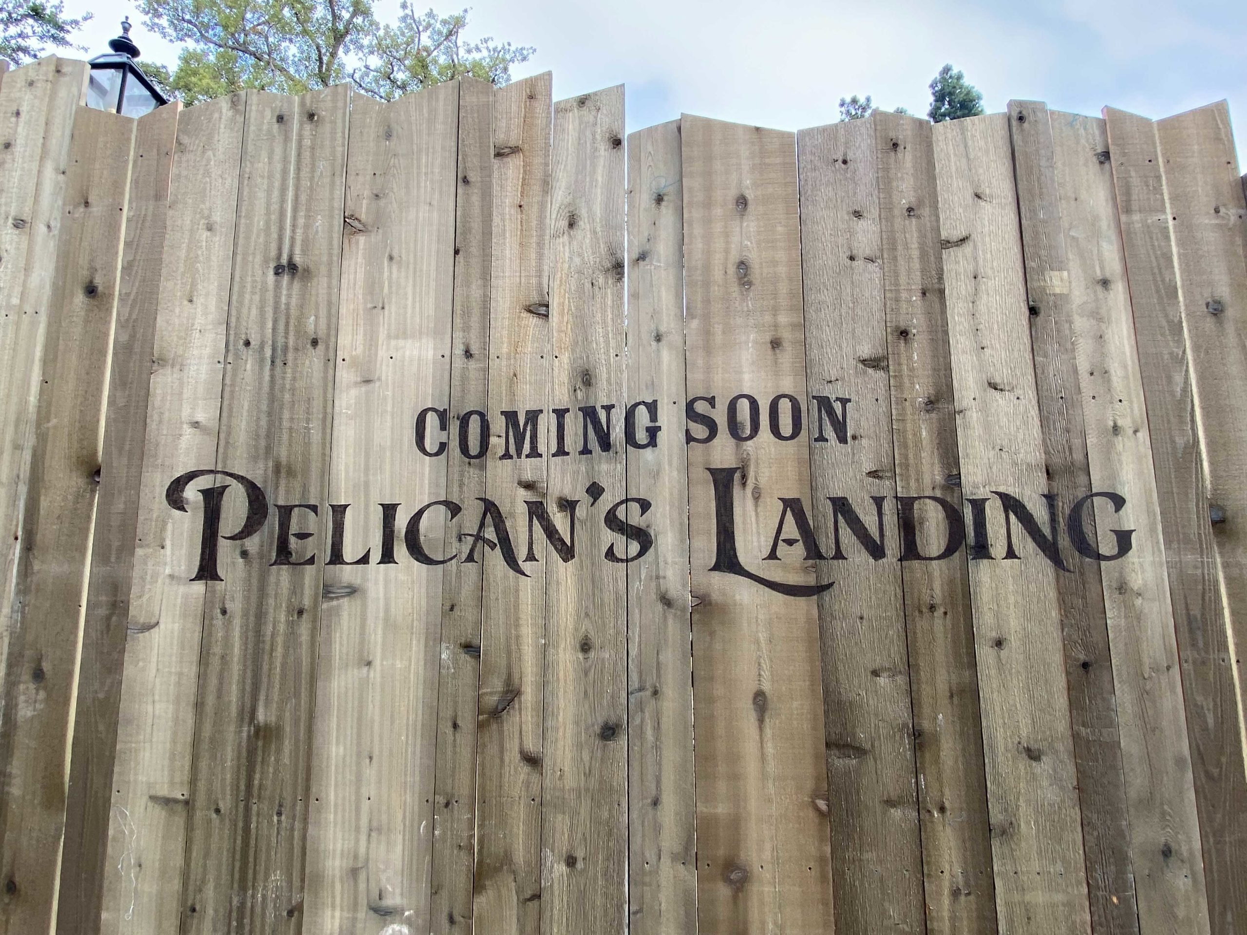 pelicans-landing-coming-soon-9
