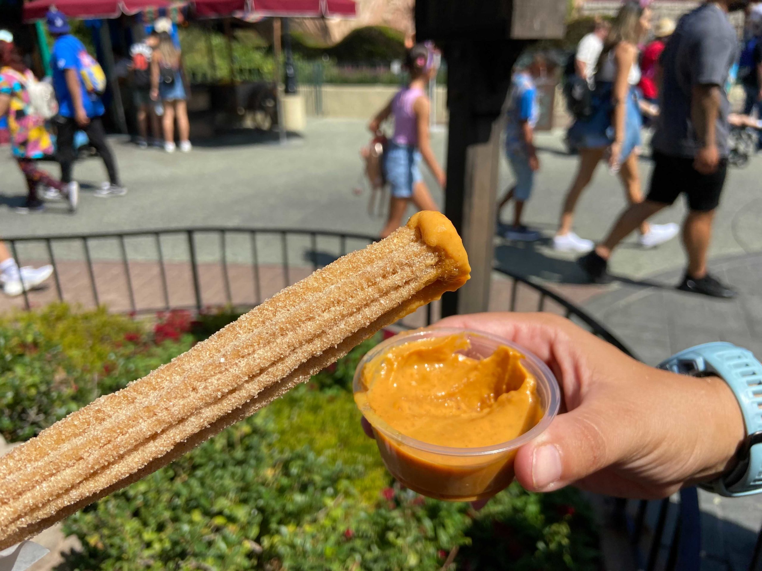 pumpkin-churro-3
