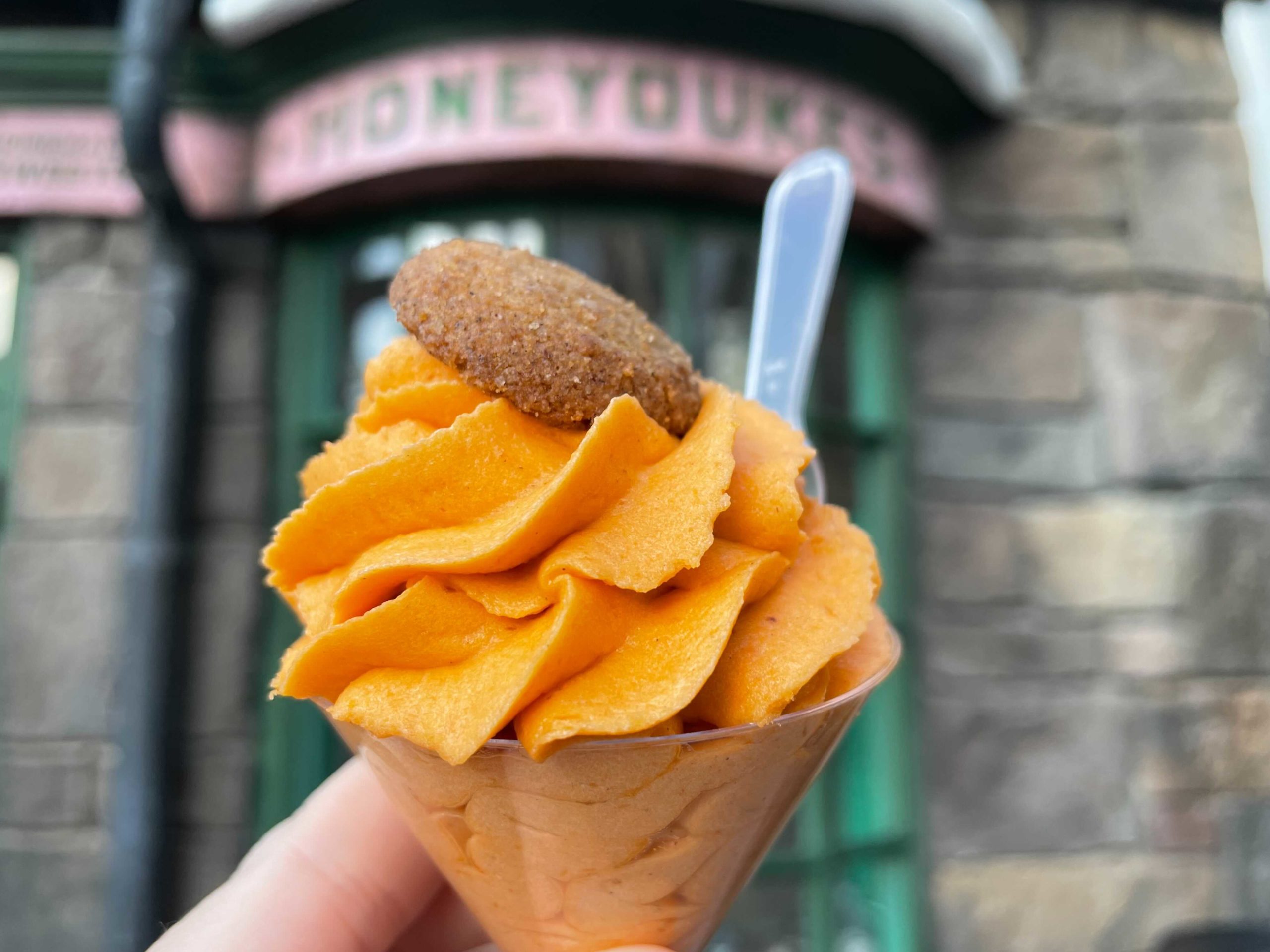 pumpkin-no-melt-ice-cream-7-3059217