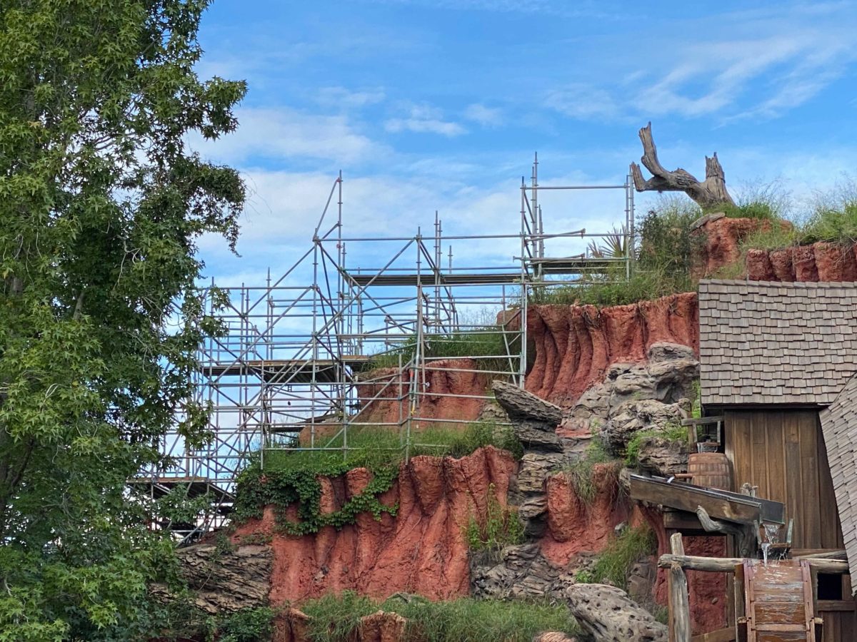 splash-mountain-scaffolding-10