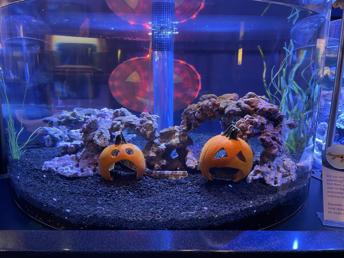 halloween-the-seas3