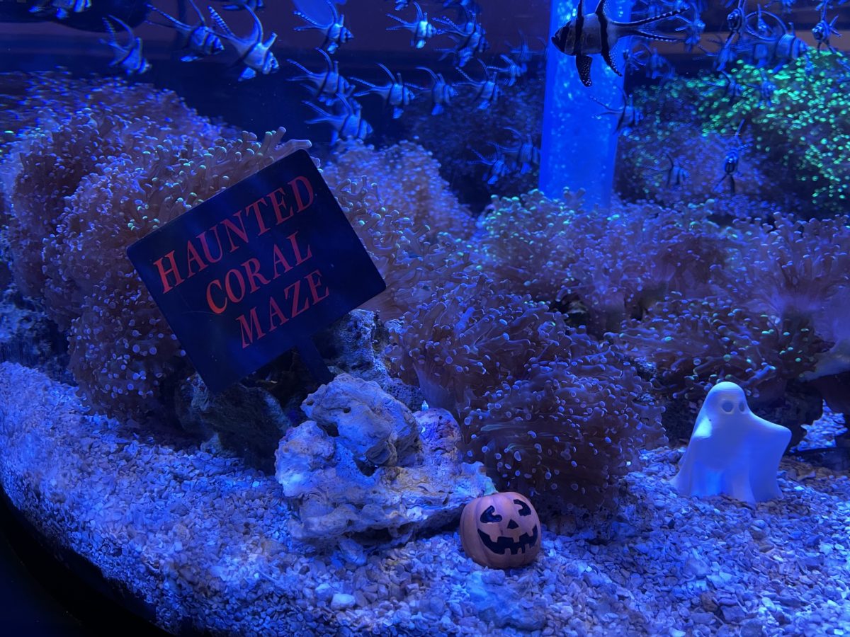 halloween-the-seas5
