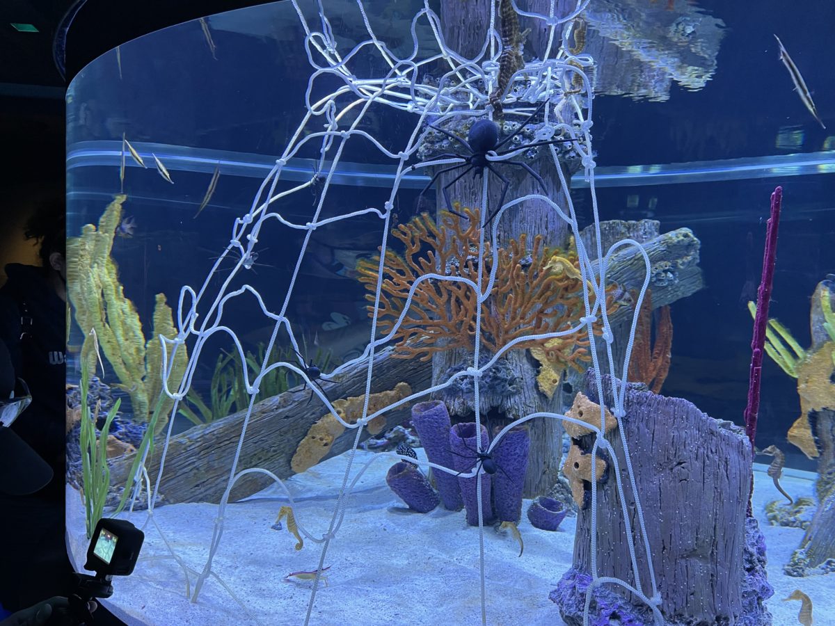 halloween-the-seas