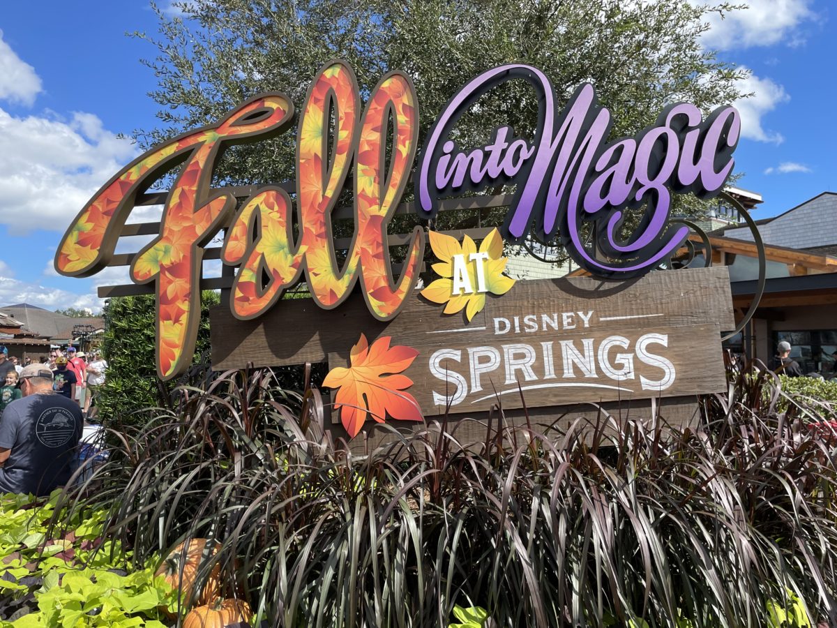 fall into magic DS